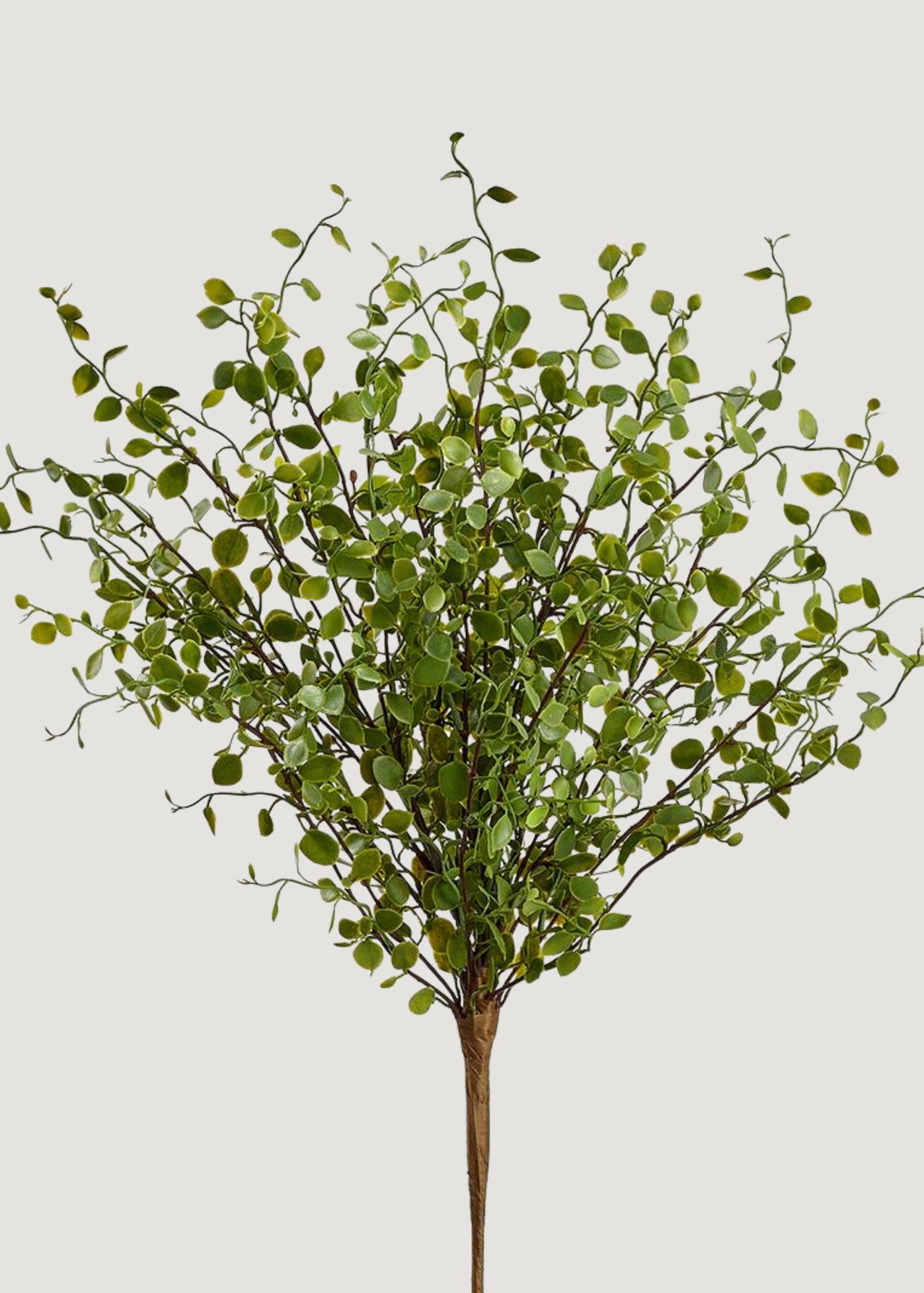 Artificial Maidenhair Creeping Vine