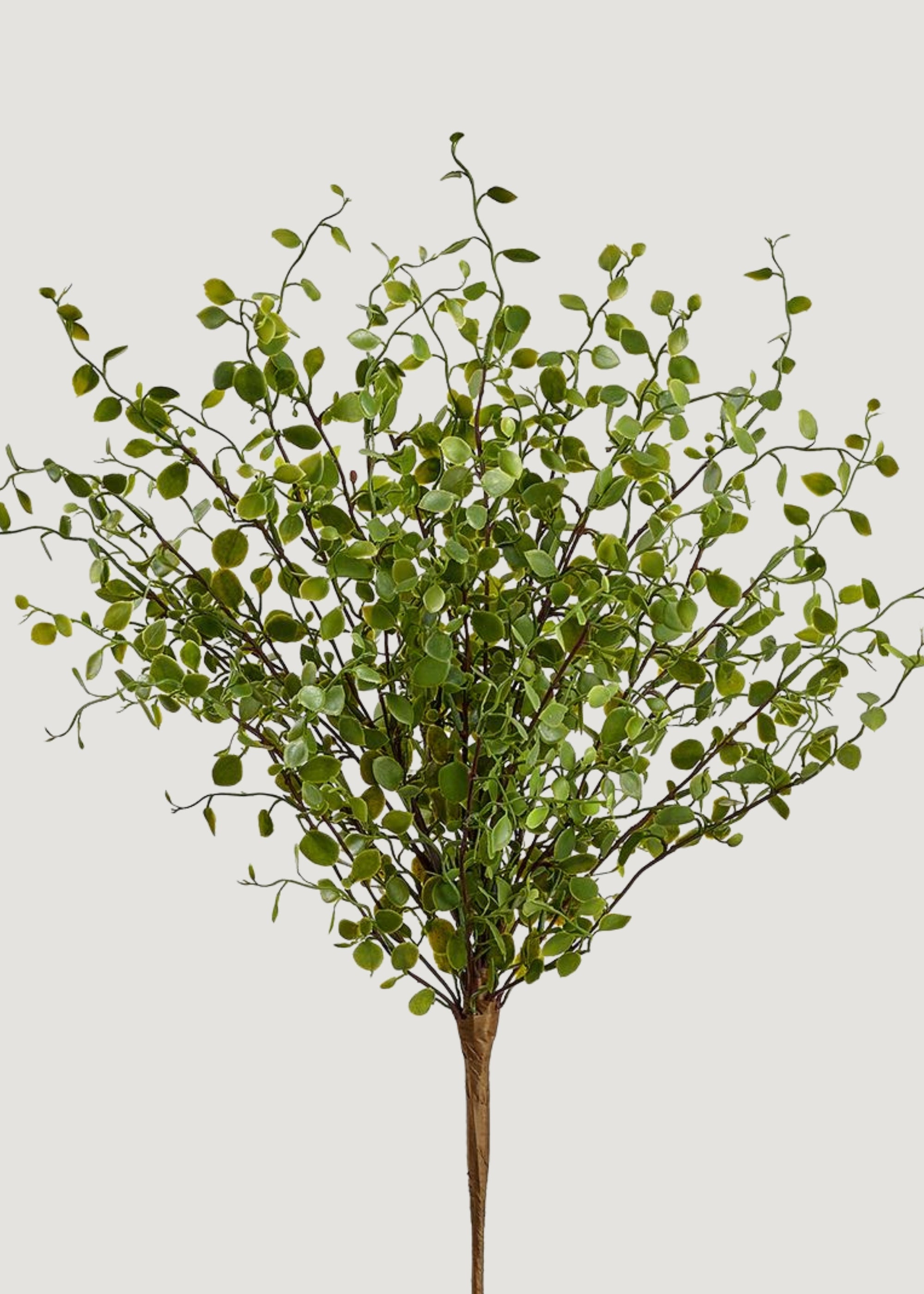 Artificial Maidenhair Creeping Vine
