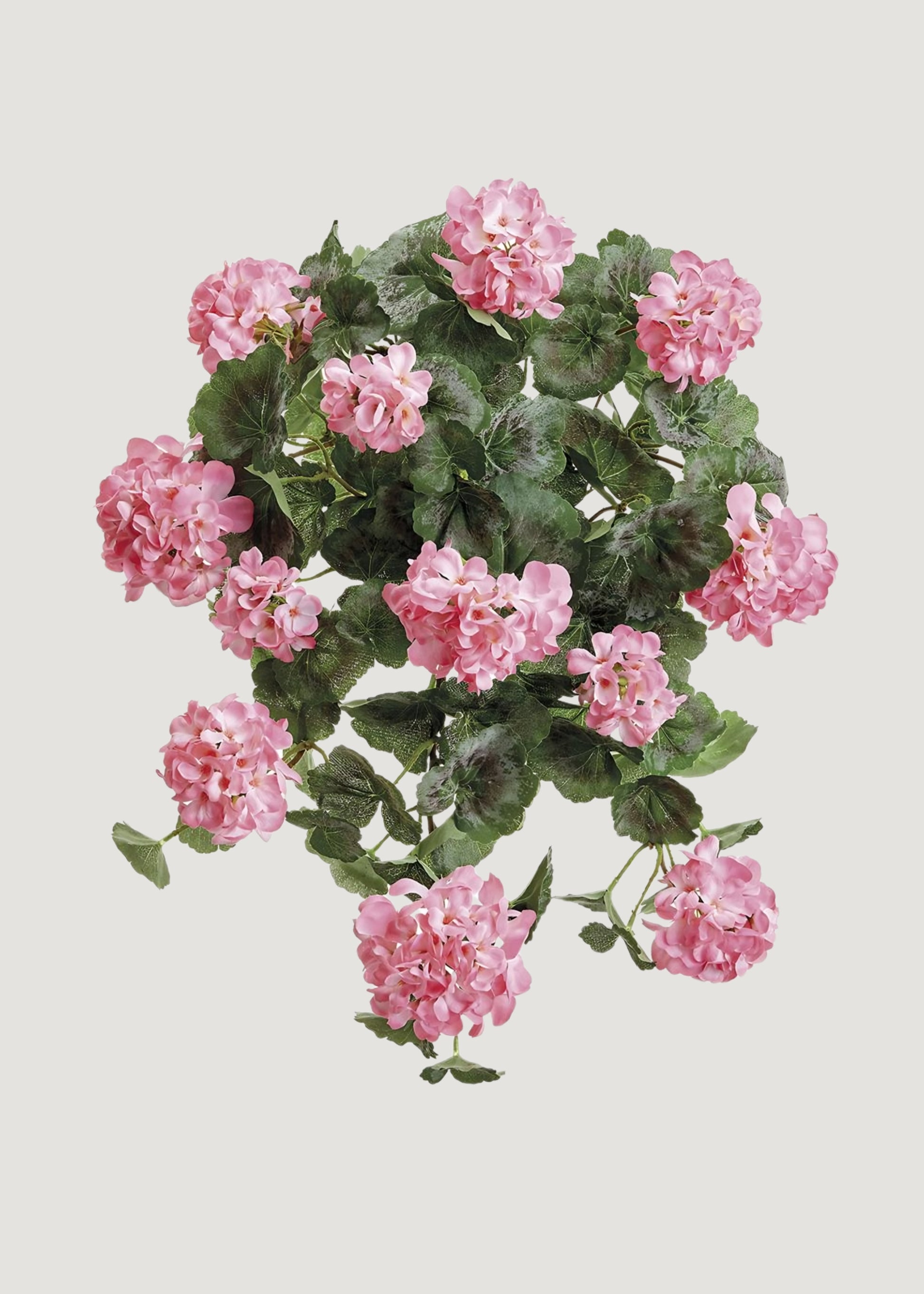 Pink Hanging Fake Geranium
