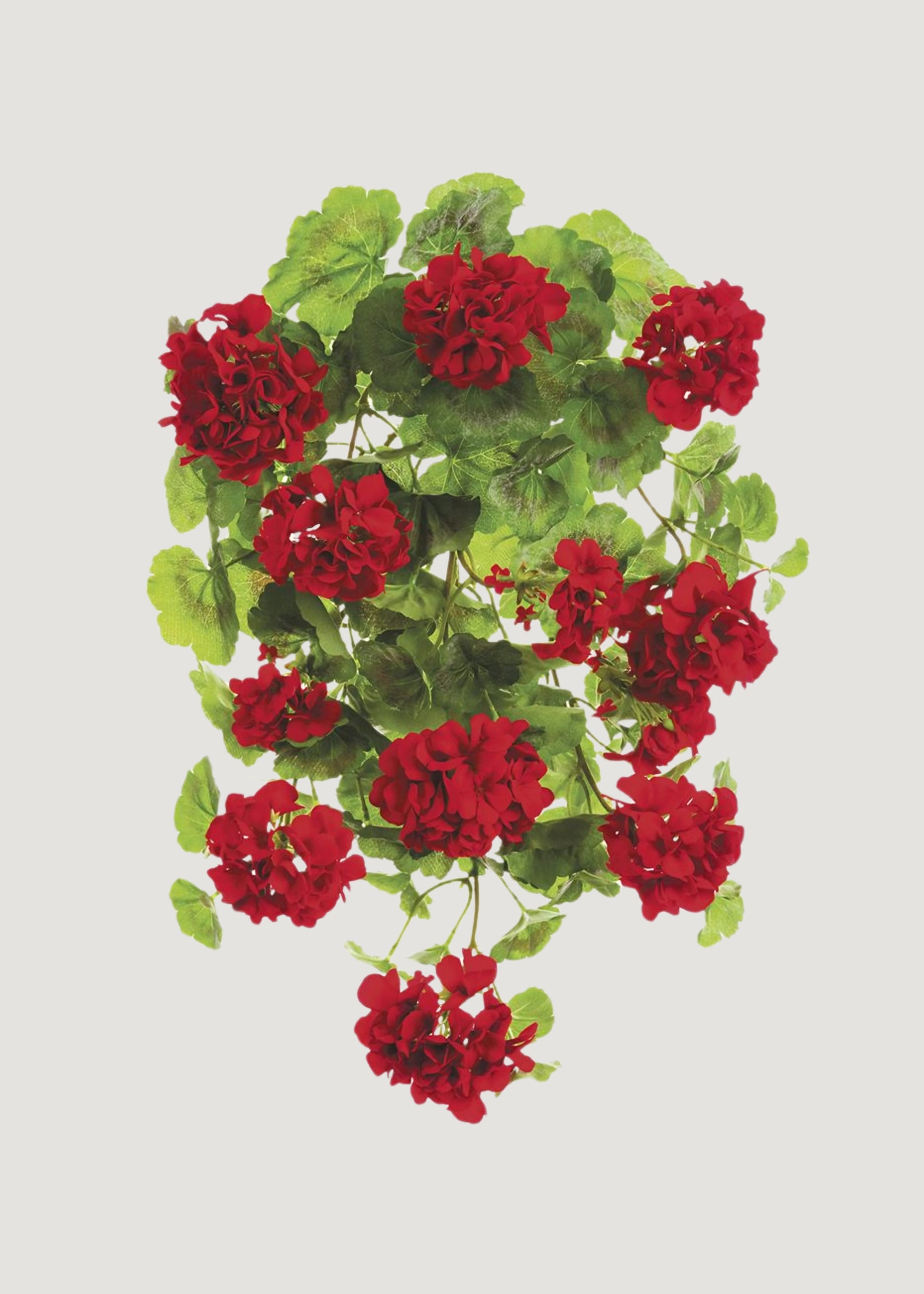 Red Hanging Fake Geranium