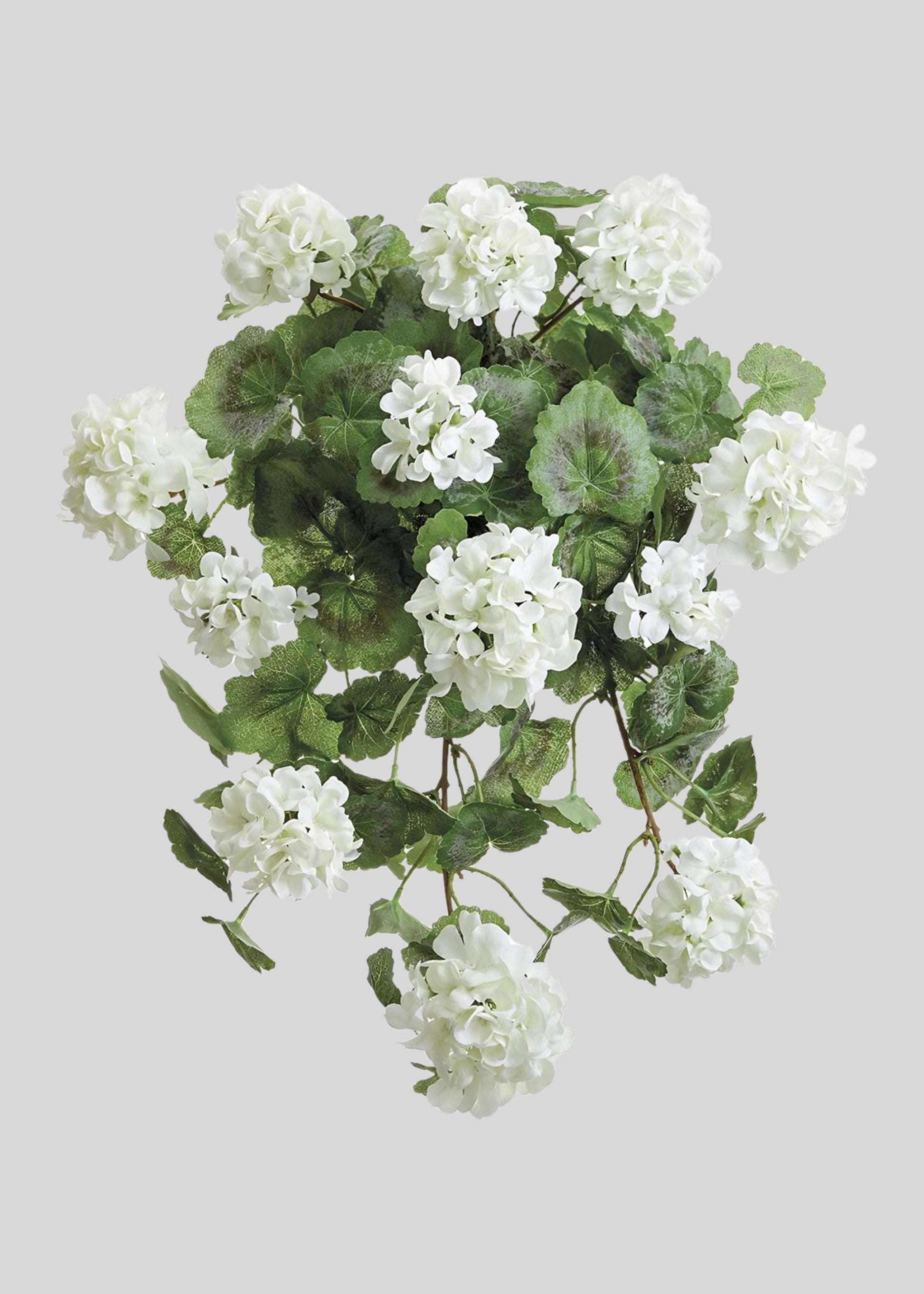 White Fake Hanging Geranium