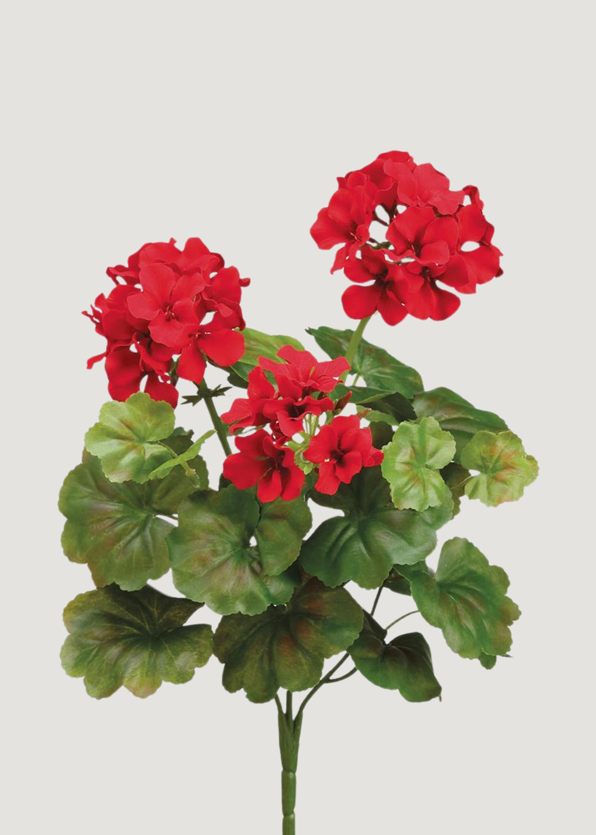 Fake Geraniums in Red