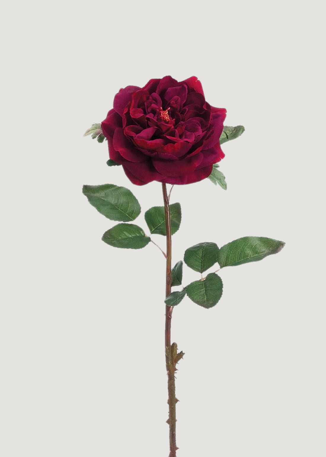 Artificial English Rose in Wine