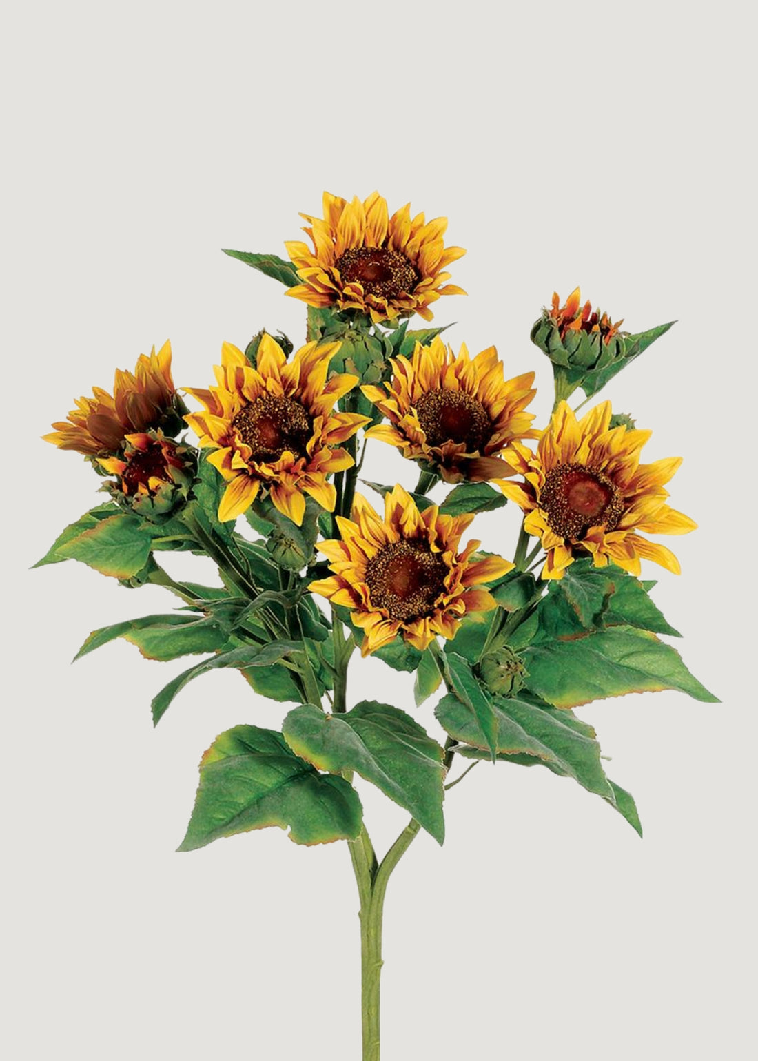Yellow Fake Sunflower Bush