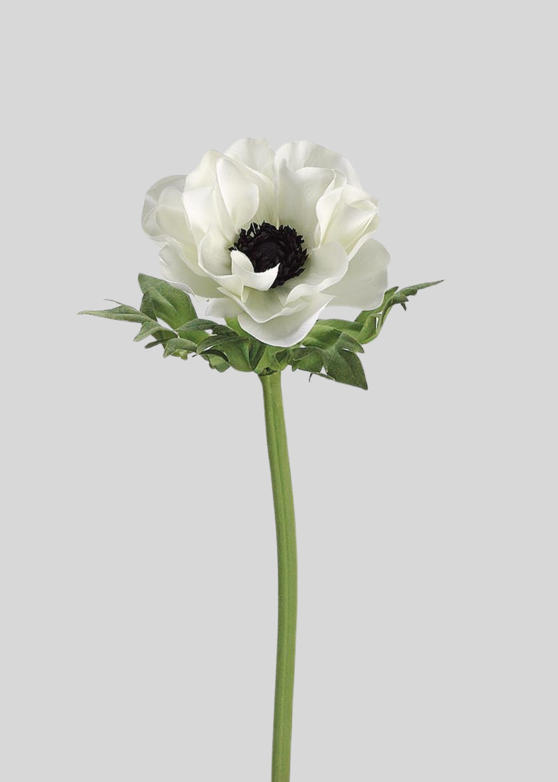 Artificial Cream Anemone 