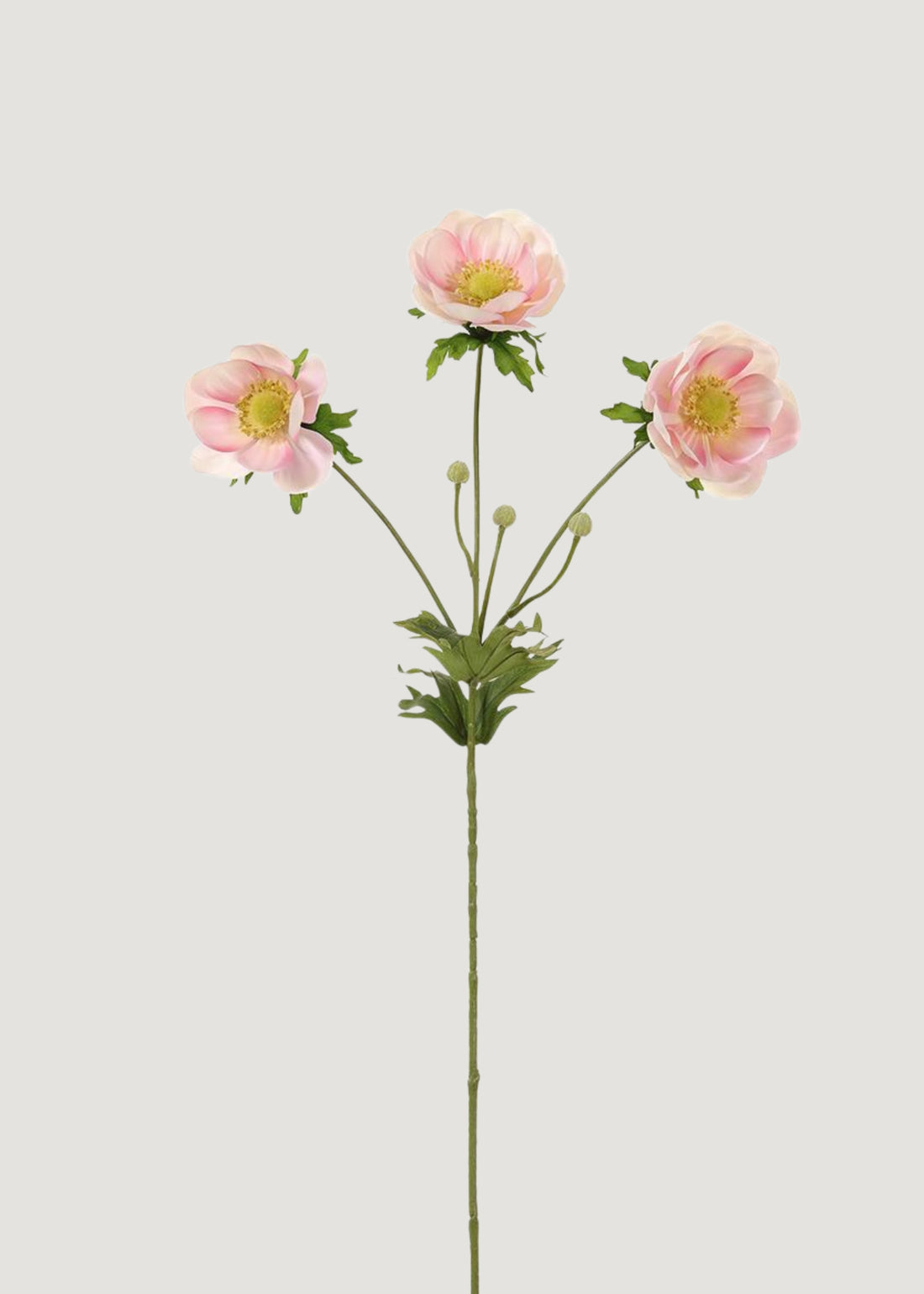 Fake Wild Anemone Flowers in Pink Cream 