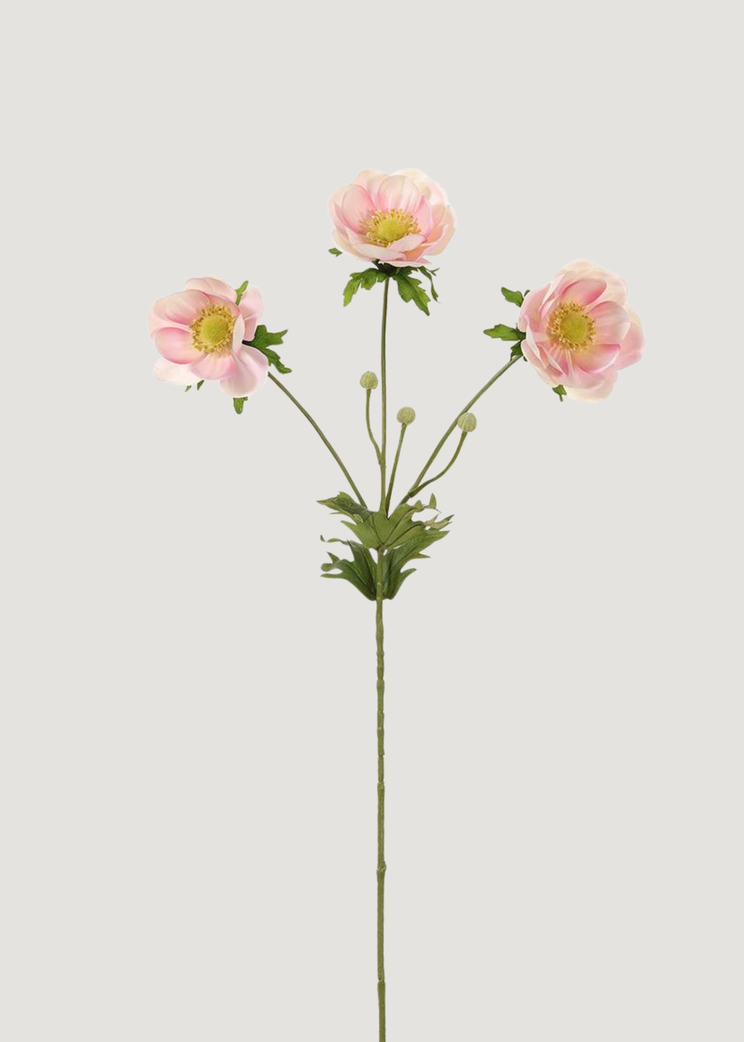 Fake Wild Anemone Flowers in Pink Cream 