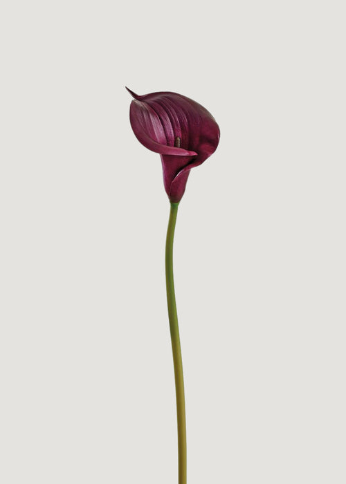burgundy calla lily plant Plum Purple Artificial Calla Lily Real Touch Flower