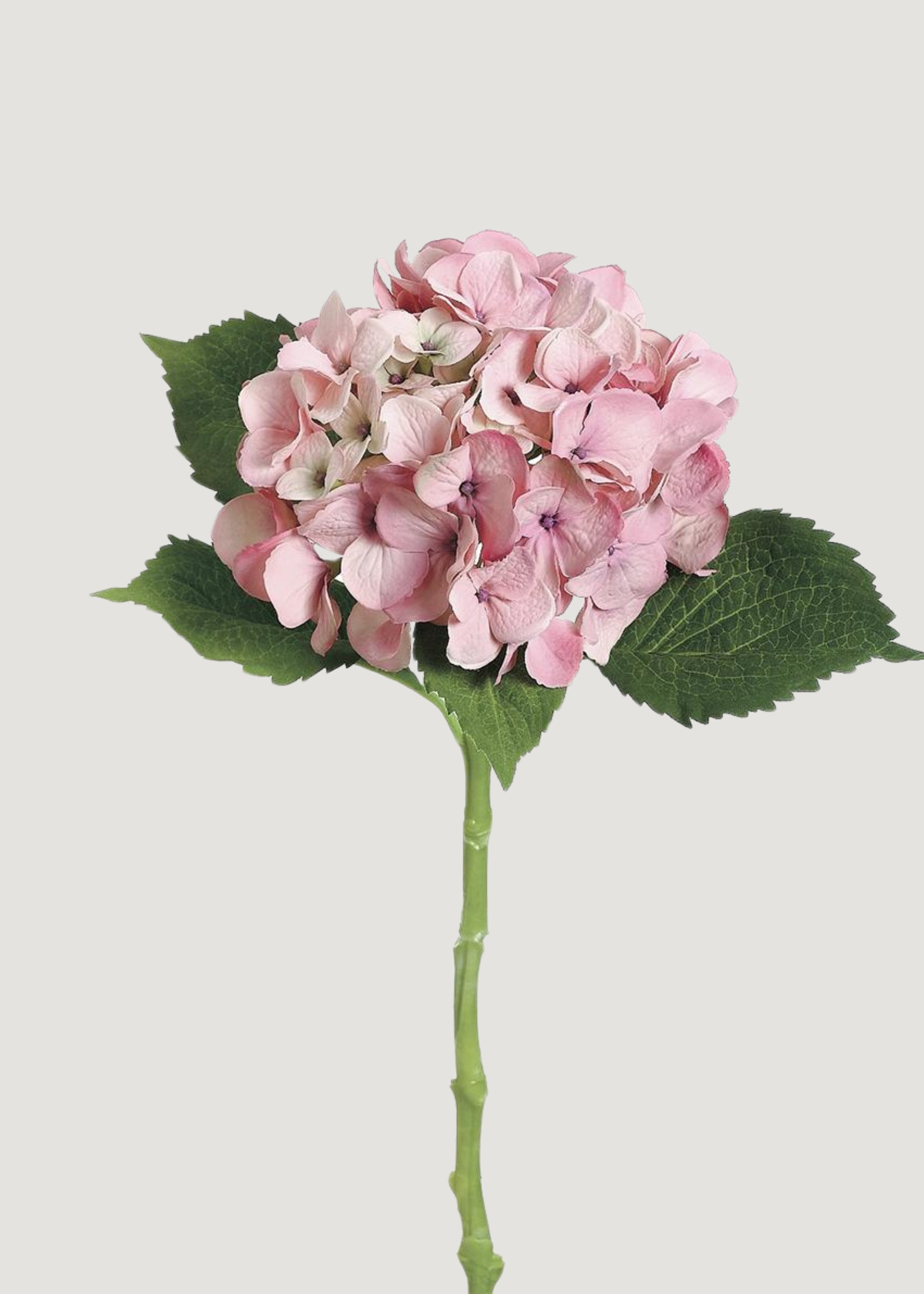 Hydrangea Artificial Flower in Antique Pink 