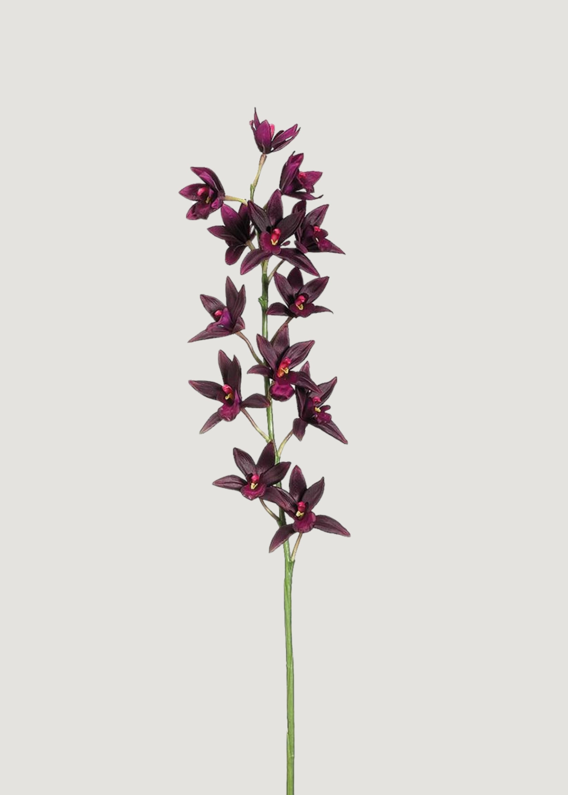 Artificial Cymbidium Orchid in Plum