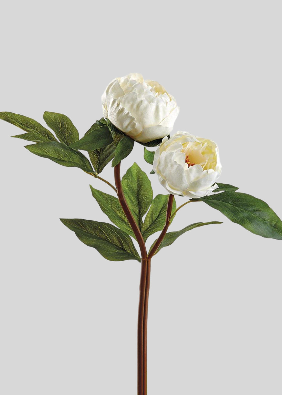 Cream Artificial Peony Flowers