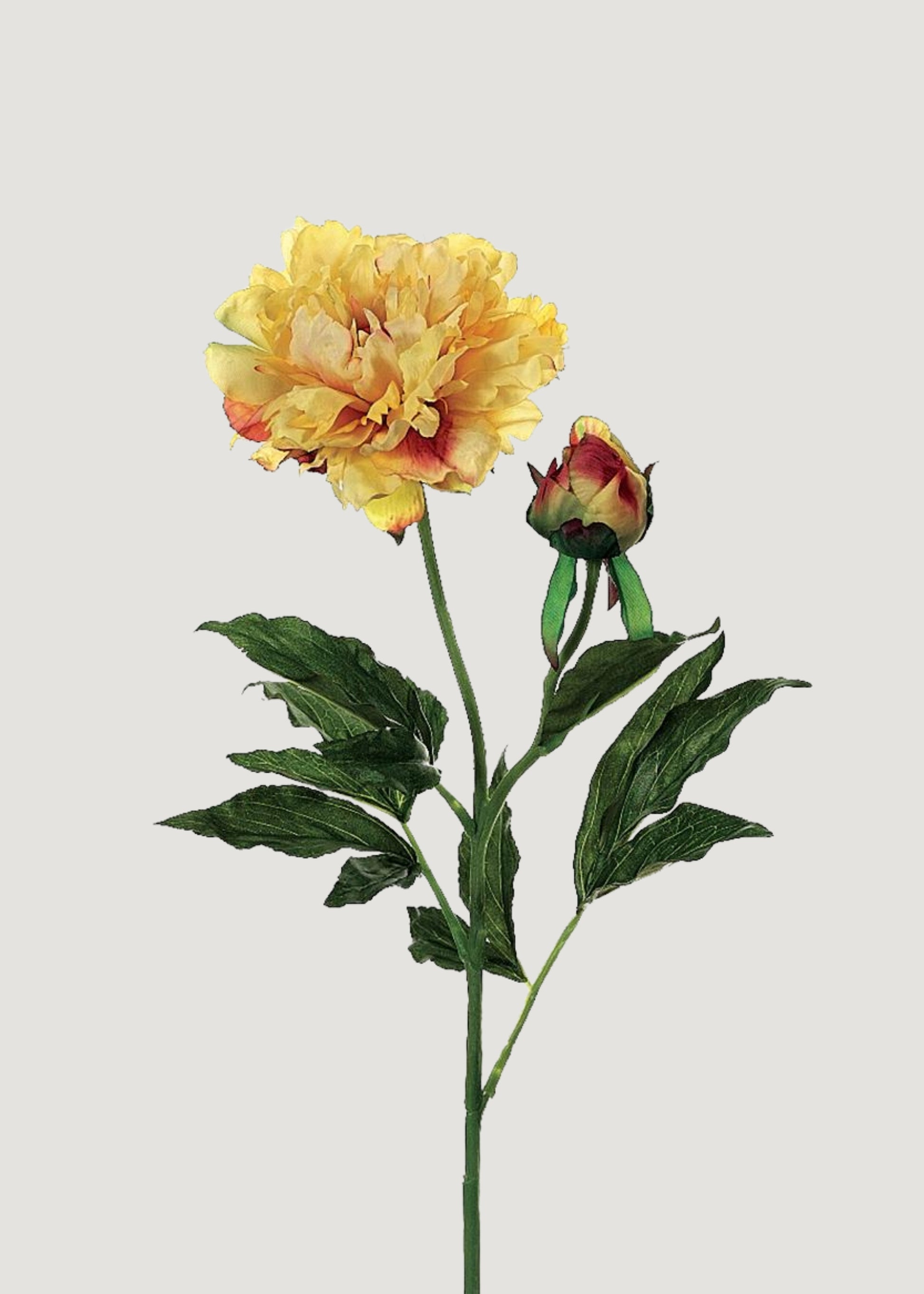 Fake Peony in Yellow 