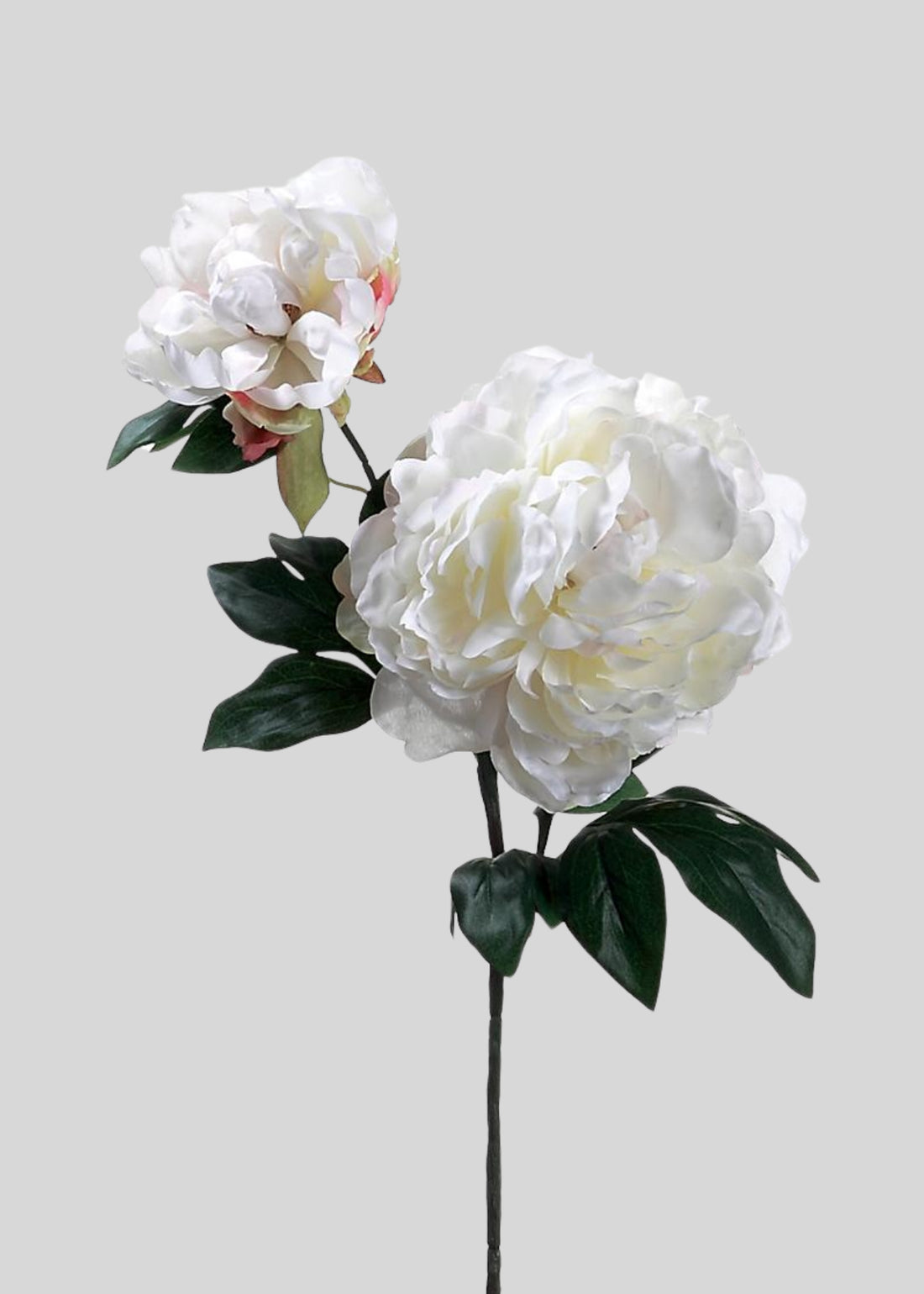 Cream Fake Blooming Peony with Bud