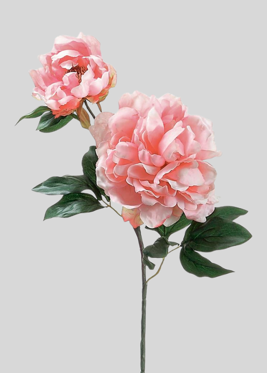 Pink Artificial Blooming Peony with Bud