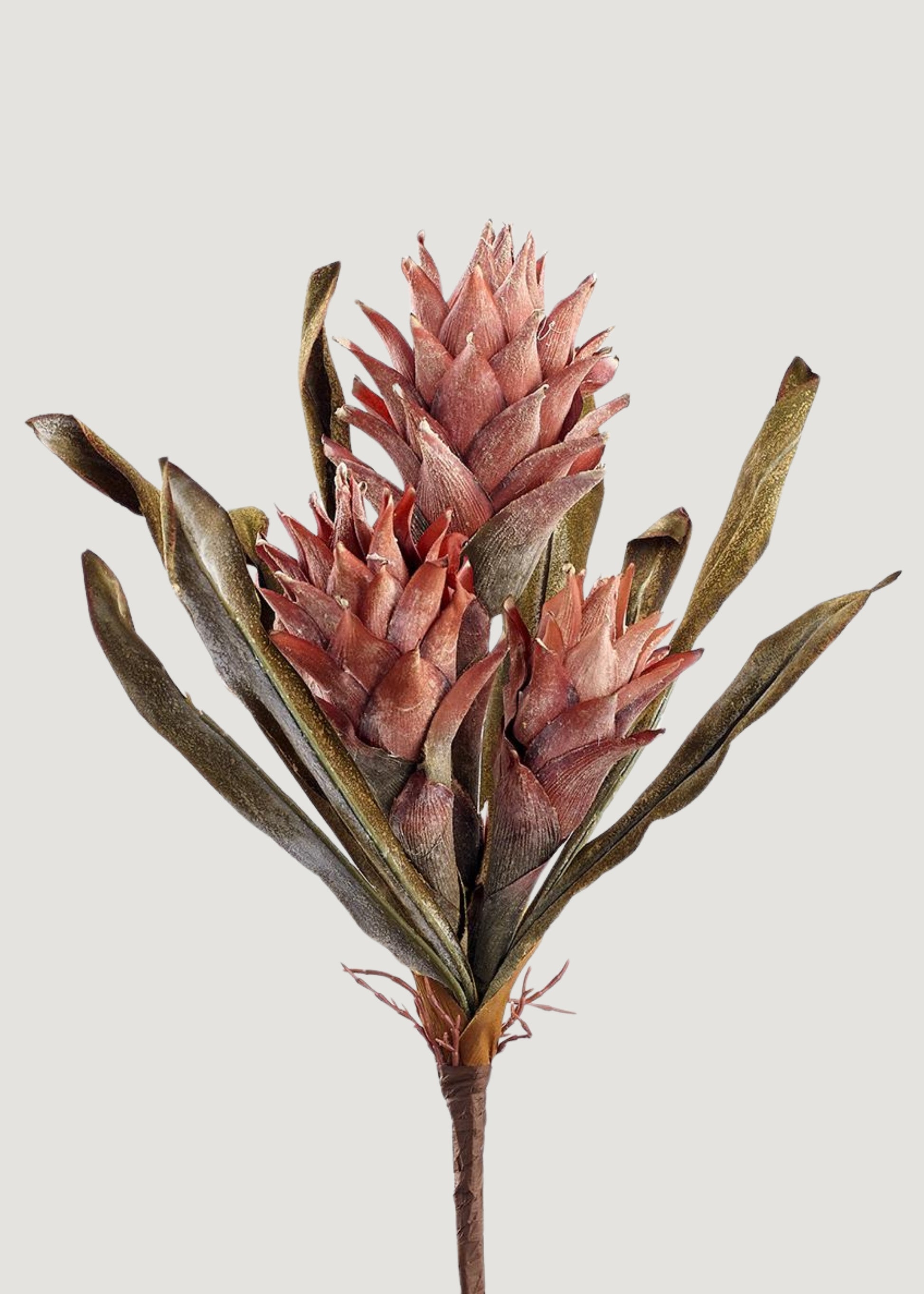 Dried-Look Fake Protea Bush