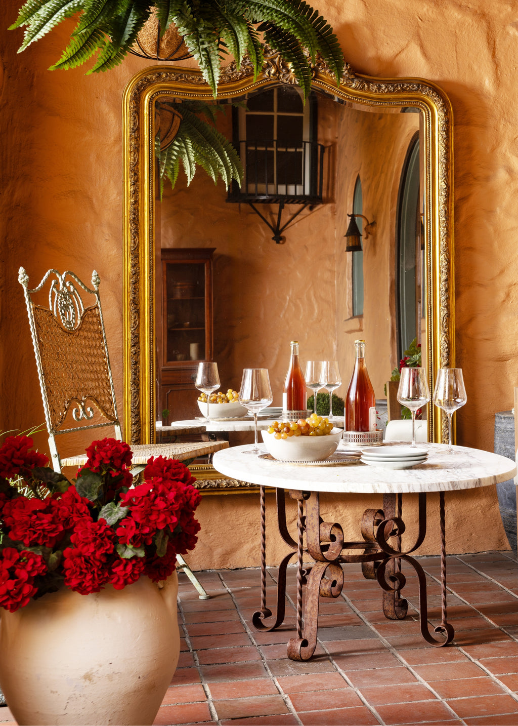 Red Outdoor Geranium Bushes