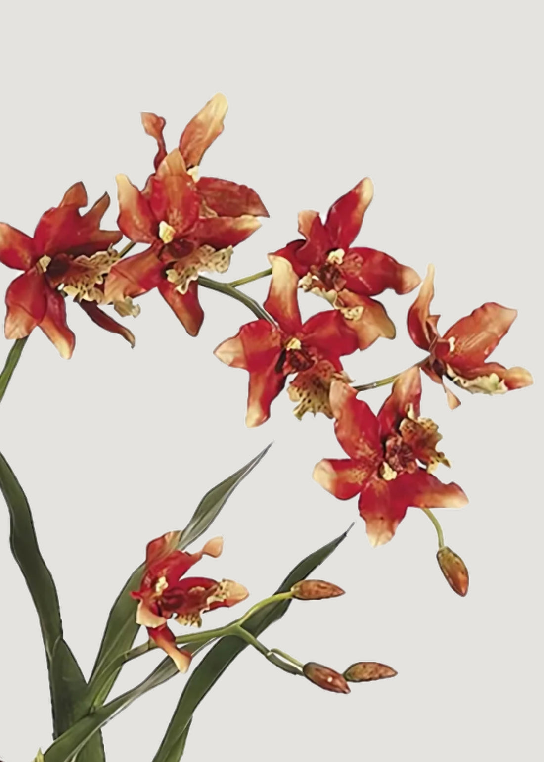 Faux Orchids