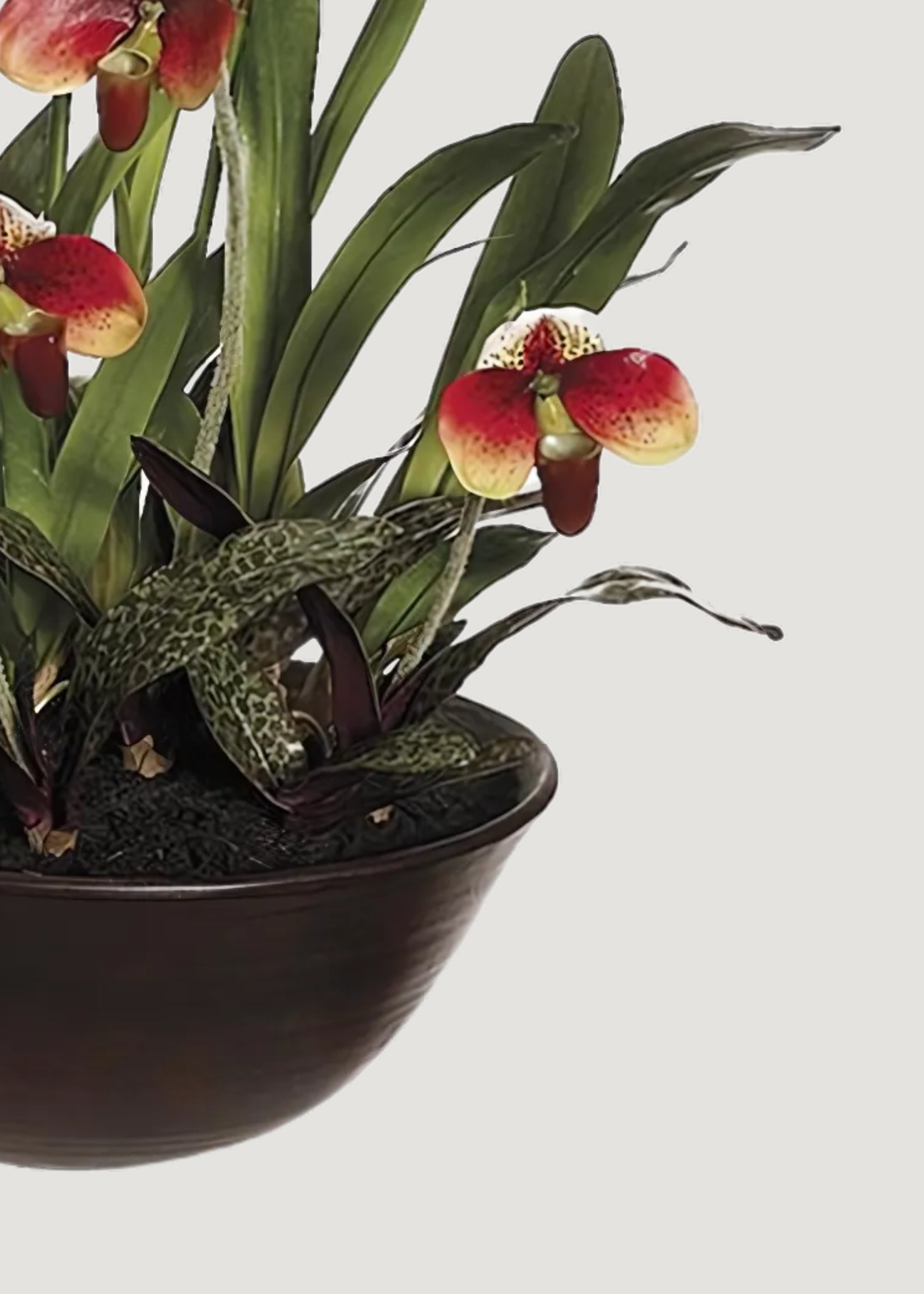 Potted Artificial Orchid Arrangement