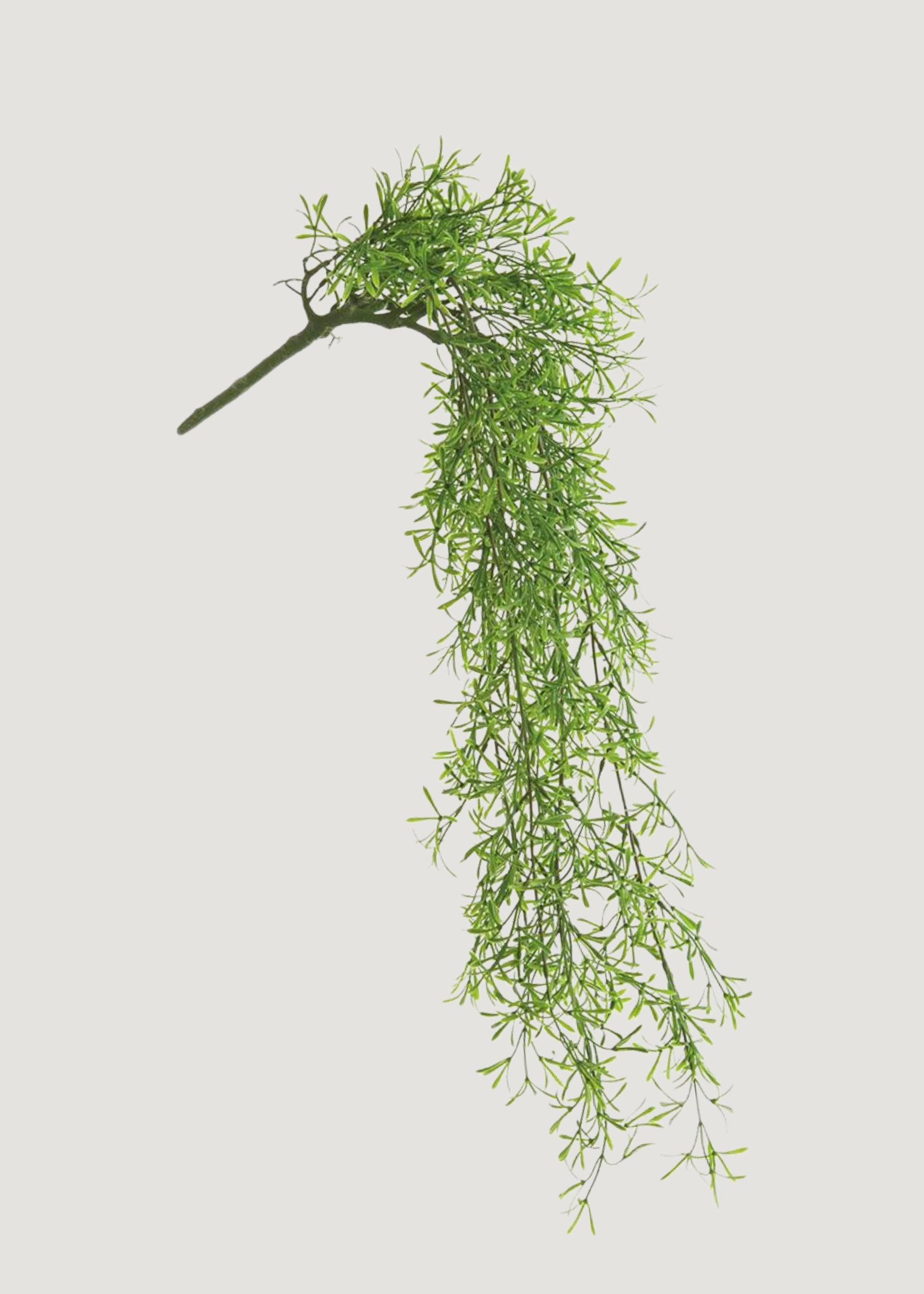 UV Treated Fake Sprengeri Fern