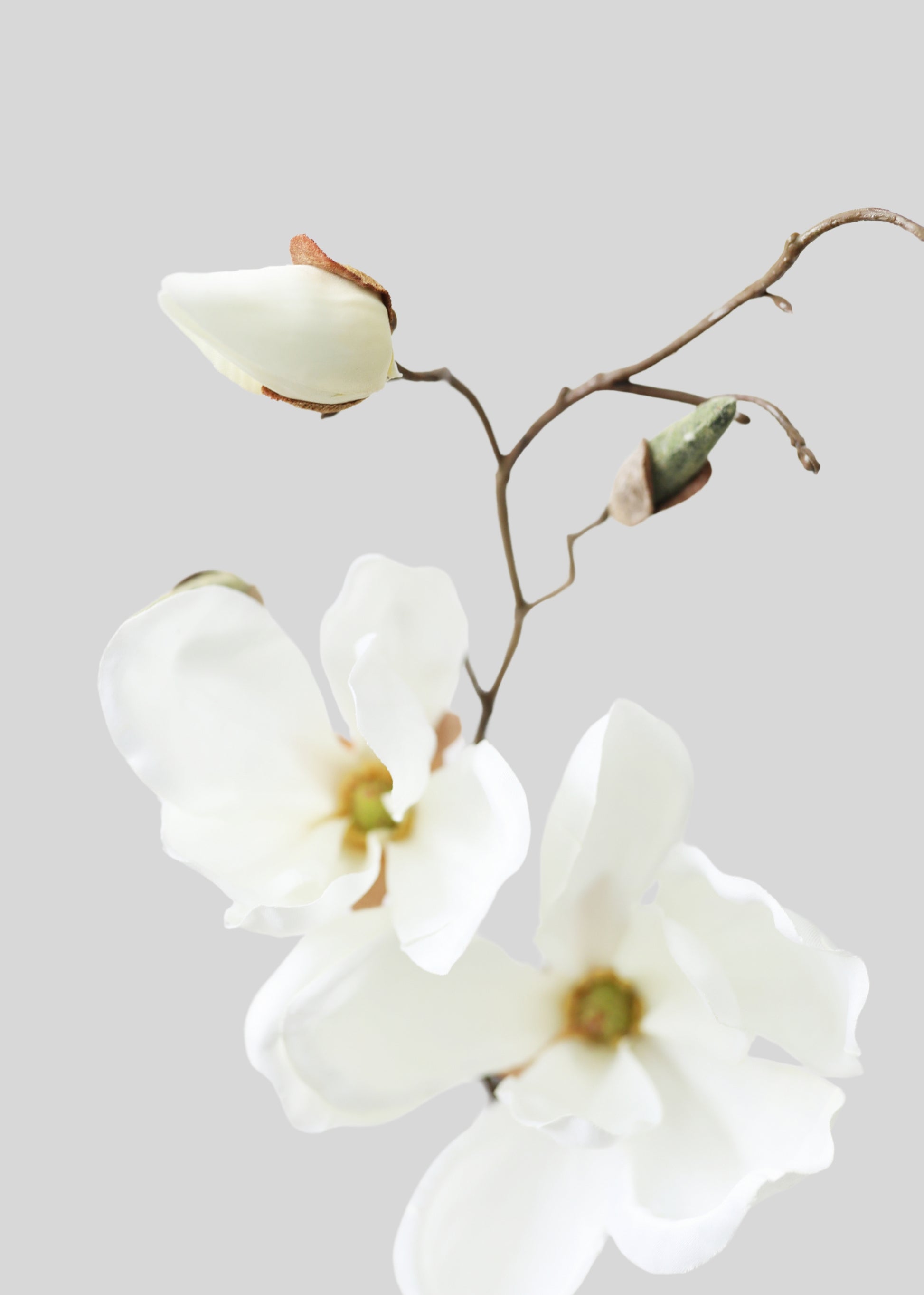 Artificial Magnolia
