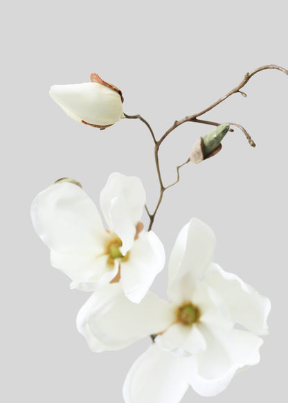 Artificial Magnolia