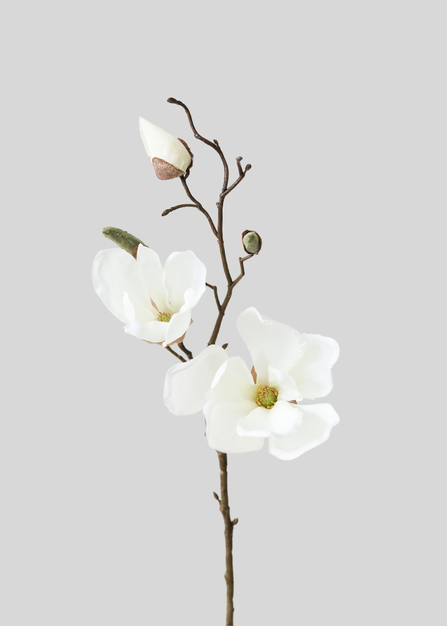 Cream Artificial Magnolia Flower Branch