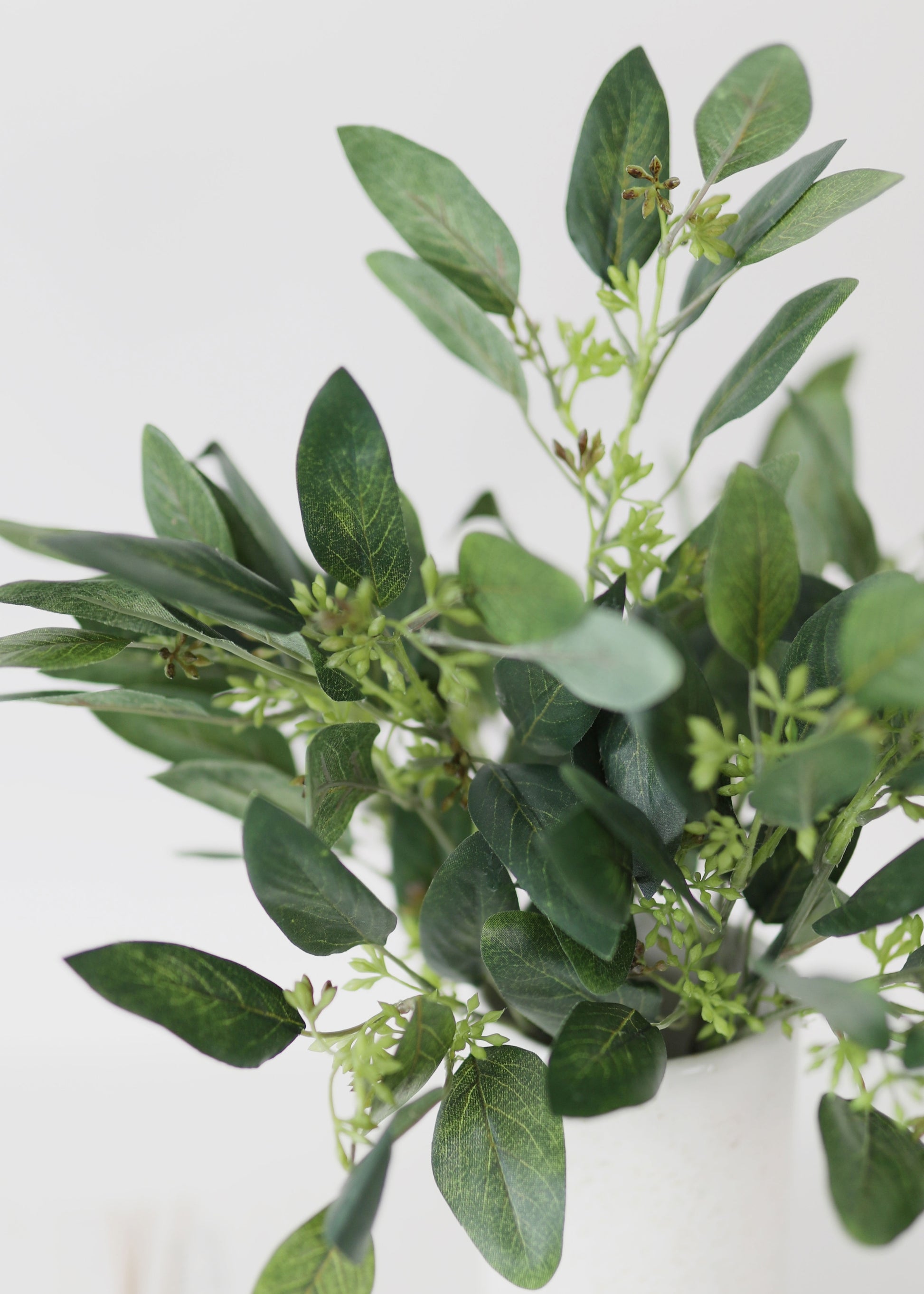 Eucalyptus Stems Plants Garlands Bulk Afloral eucalyptus-stems-plants-garlands-bulk-afloral