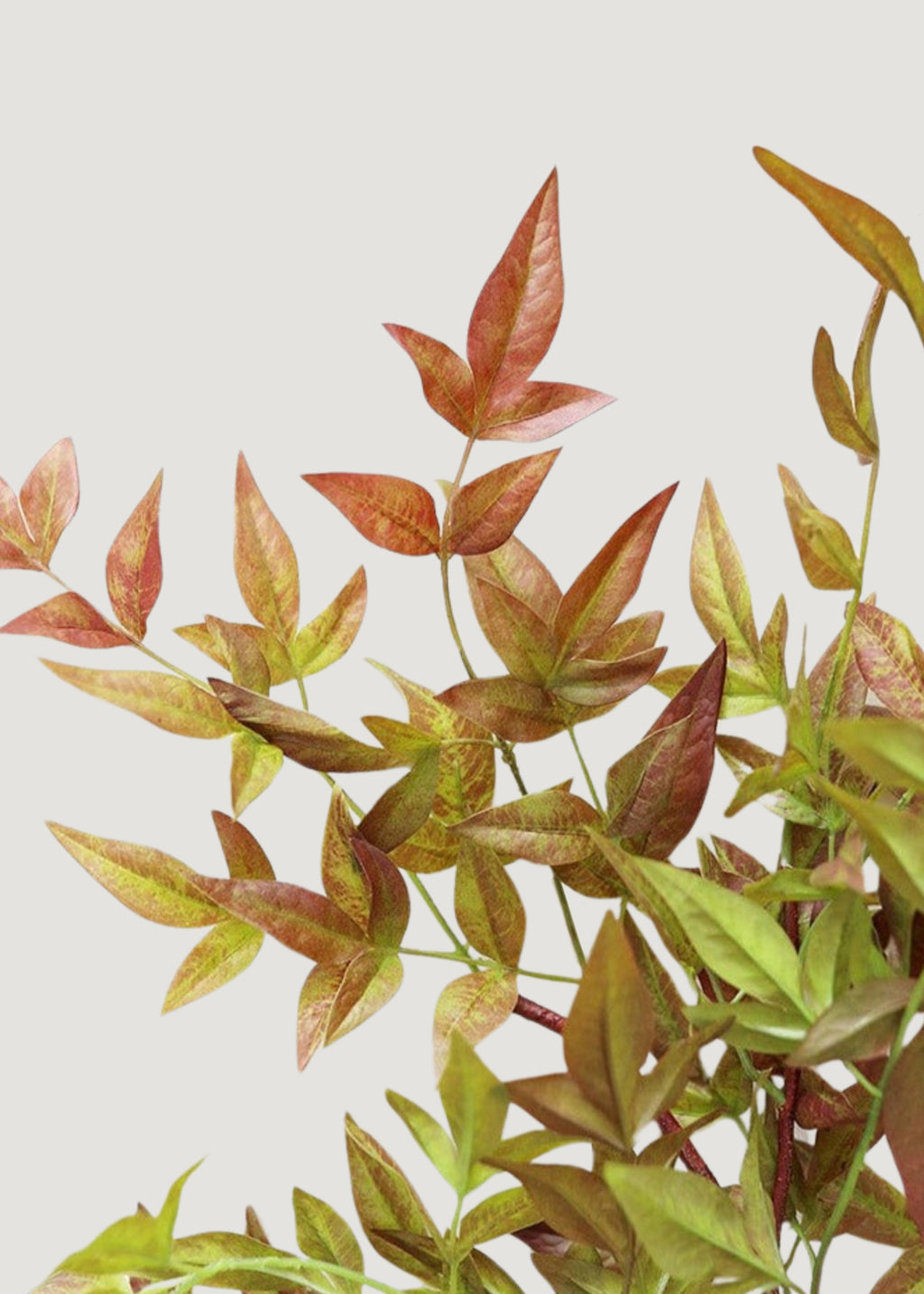 Red and Green Colored Faux Nandina Leaves Branch at Afloral