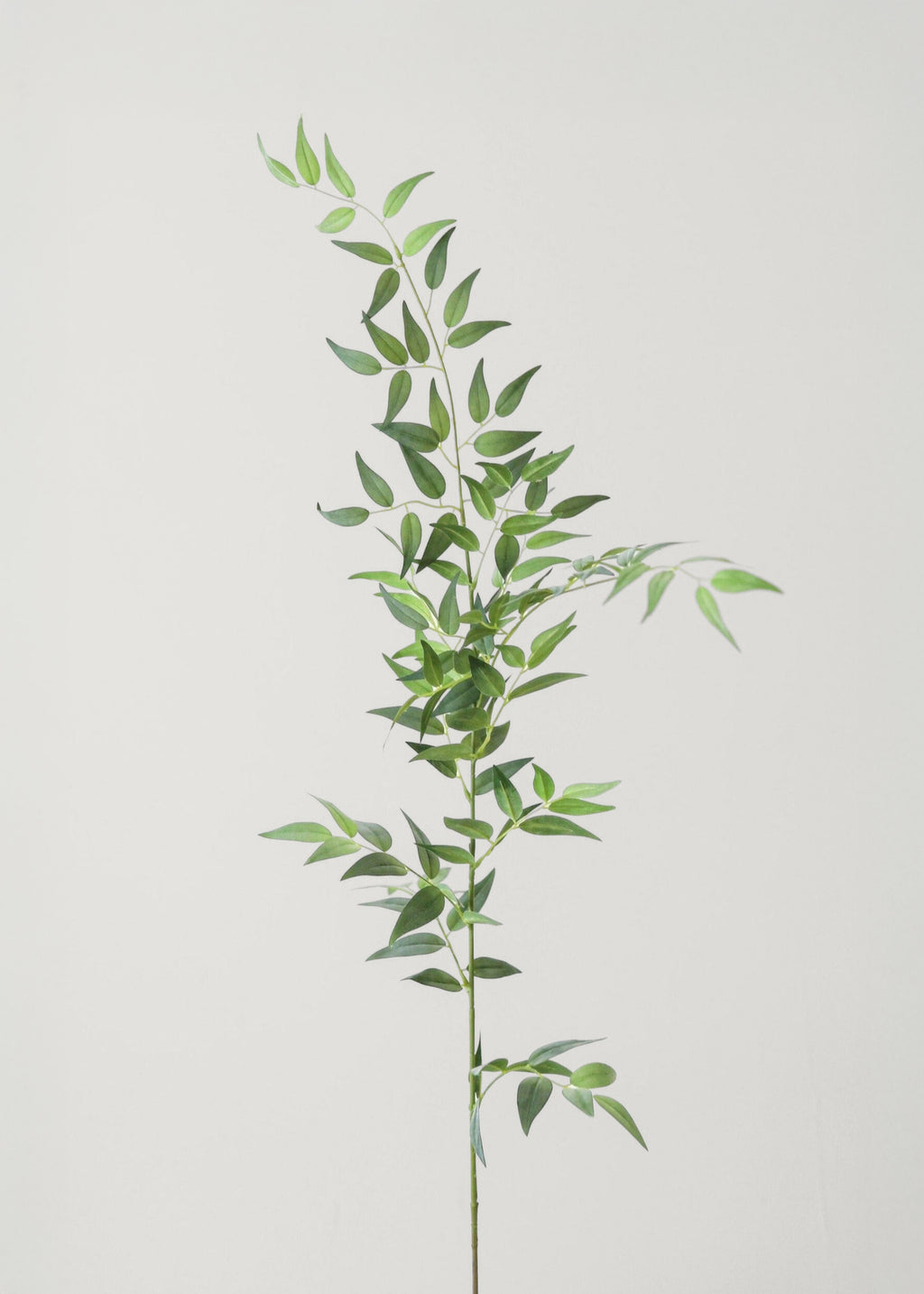 Fake Leaves Tall Italian Ruscus Leaf Branch at Afloral