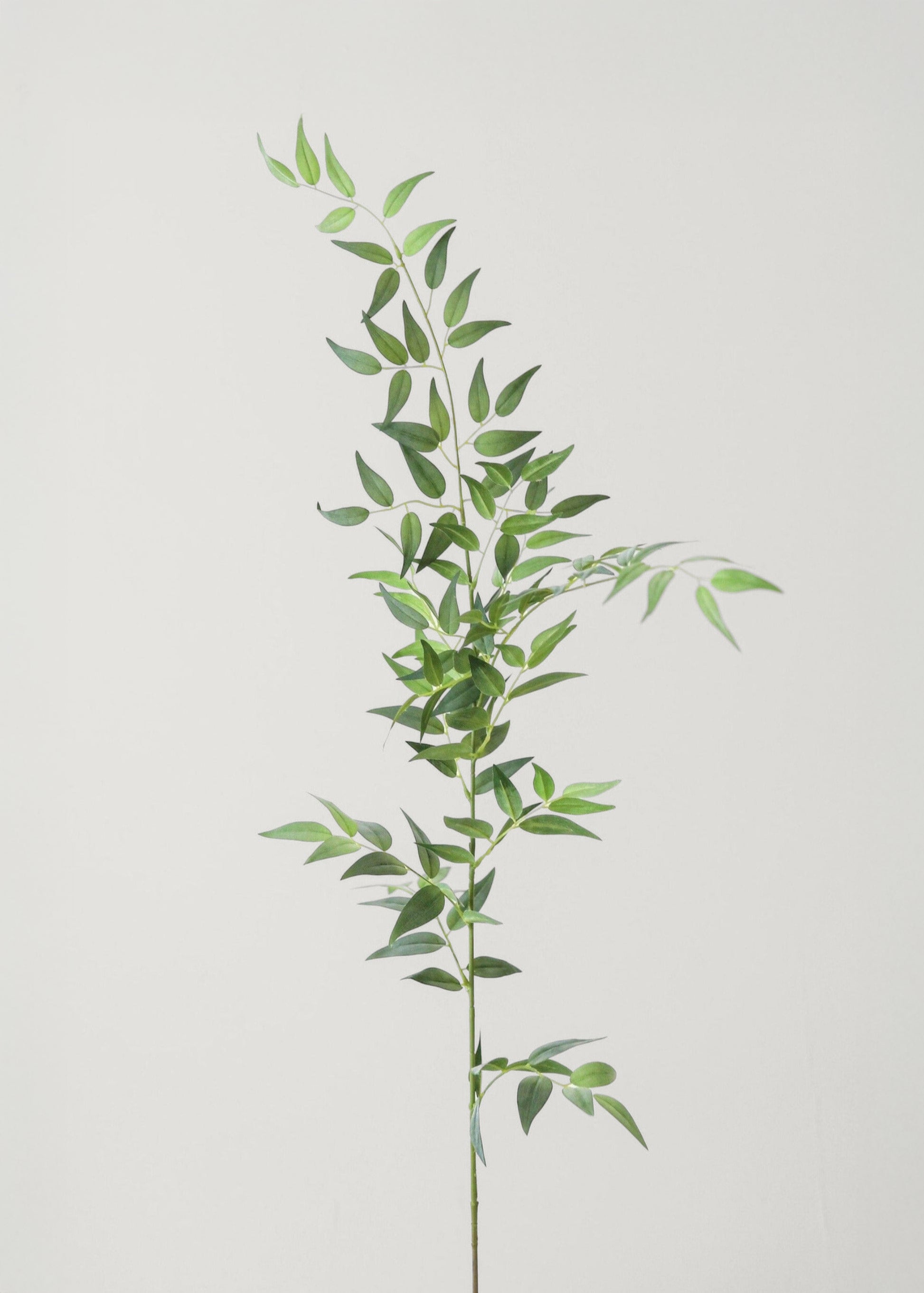 Fake Leaves Tall Italian Ruscus Leaf Branch at Afloral