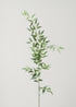 Fake Leaves Tall Italian Ruscus Leaf Branch at Afloral