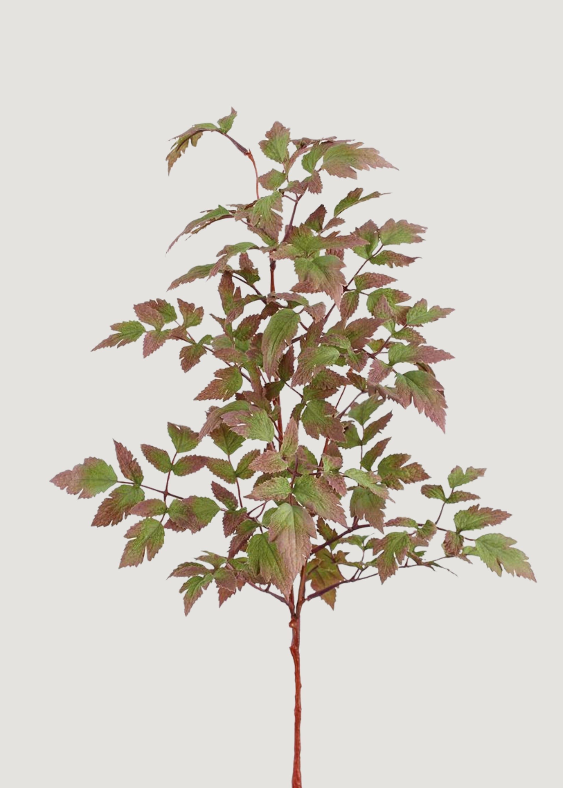 Faux Purple and Green Cimicifuga Leaves