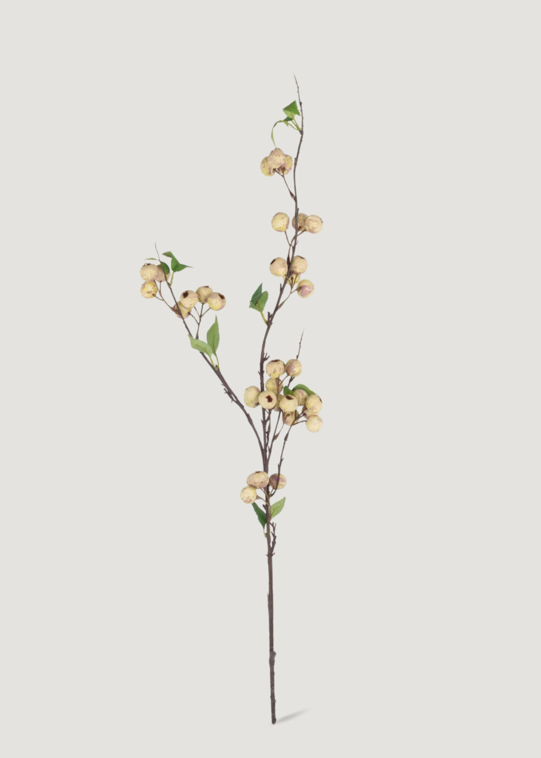 Abigail Ahern Artificial Hawthorn Berry Branch in Cream