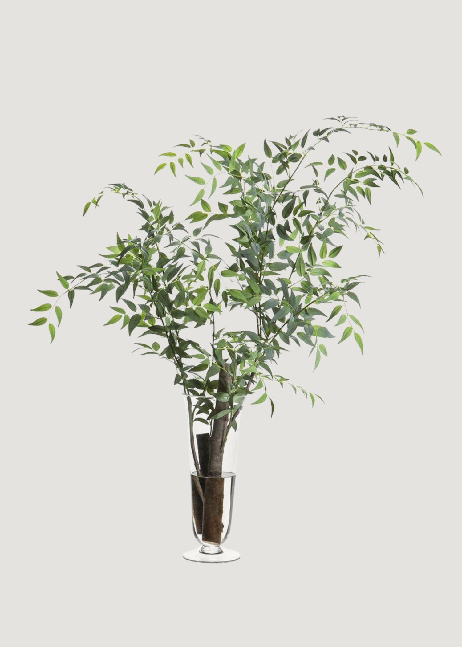 Faux Italian Ruscus in Glass Vase