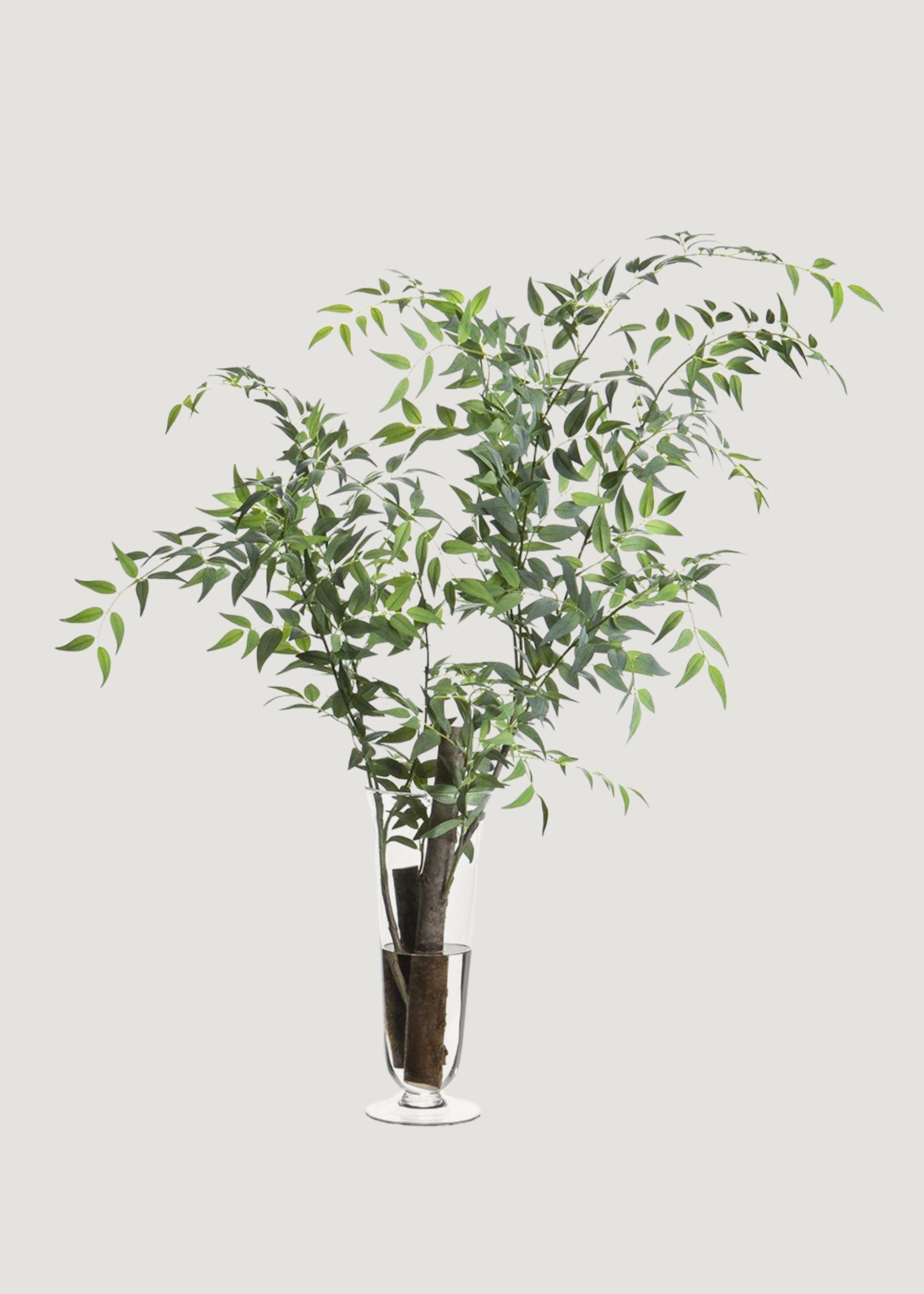 Faux Italian Ruscus in Glass Vase
