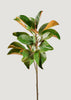 Afloral Artificial Branches Tall Green Faux Magnolia Branch