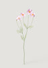 Faux Pink Cosmos