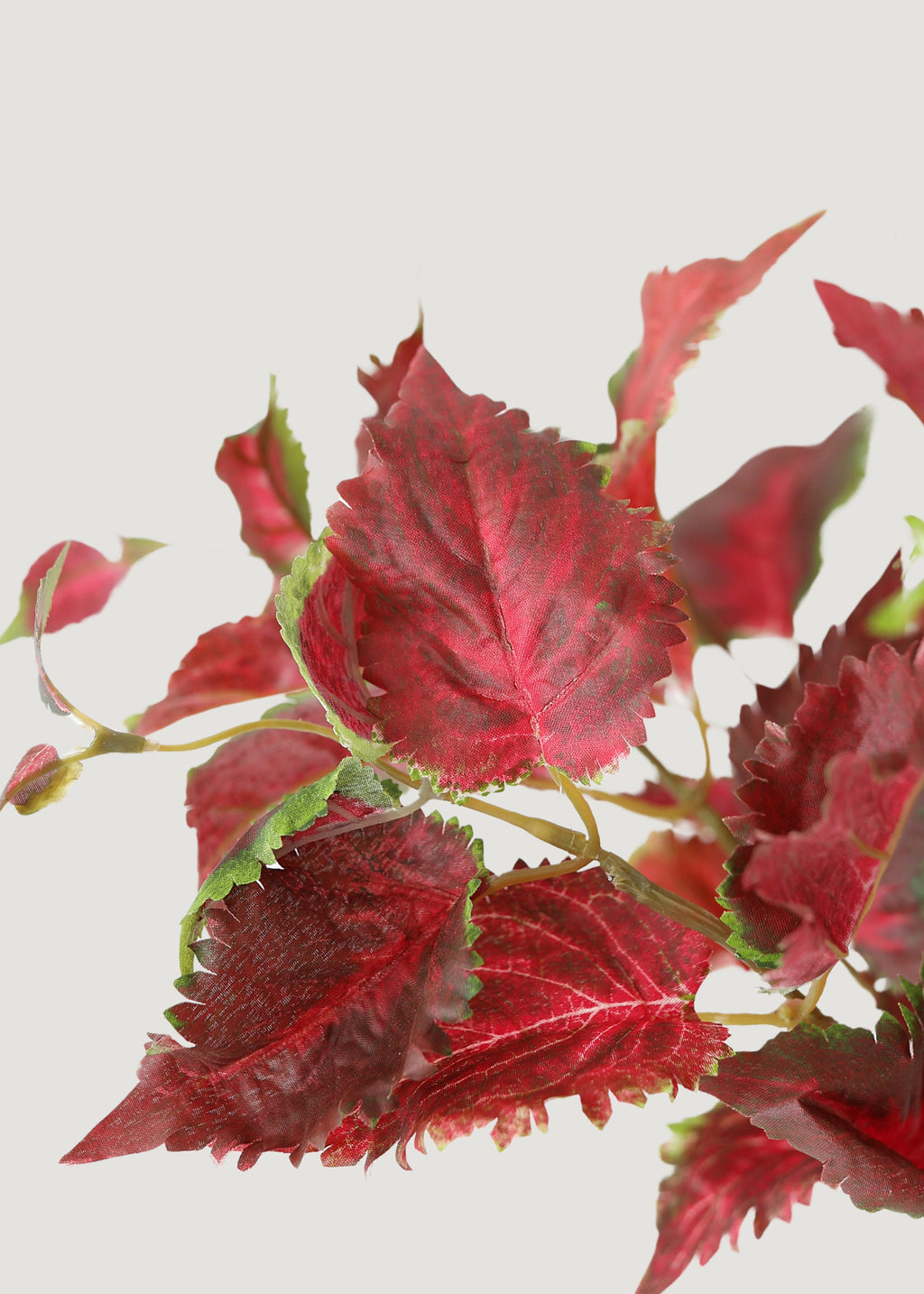 Fake Coleus Leaves