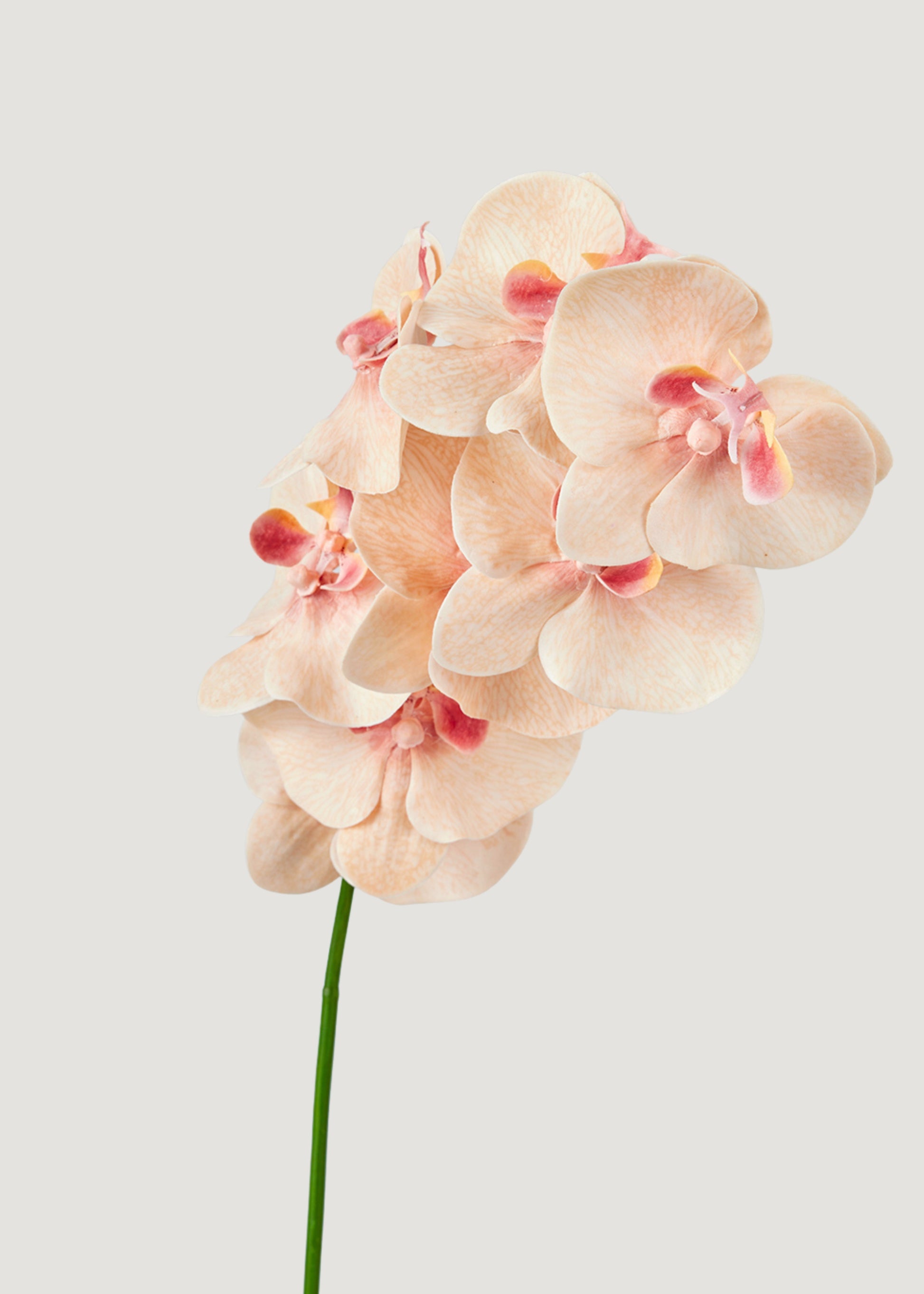 Artificial Orchid Stem in Peach Pink