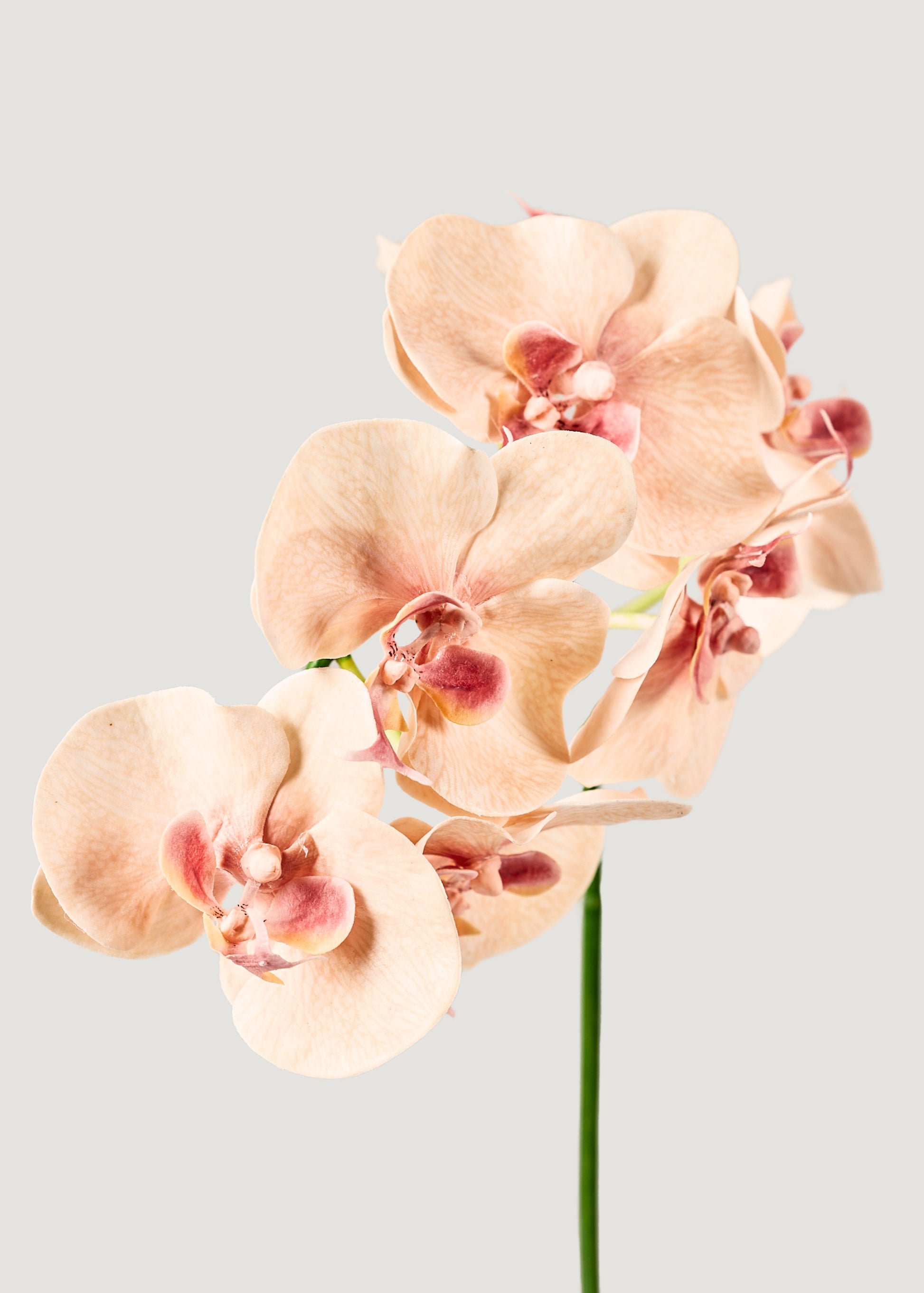 Peach Pink Artificial Orchids