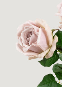 Lavender Fake Real Touch Rose Bundle - 25.5"