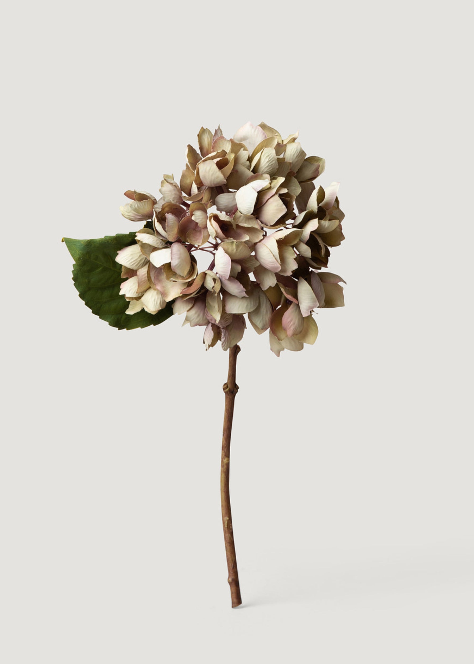 Dried Look Faux Hydrangea in Vintage Taupe
