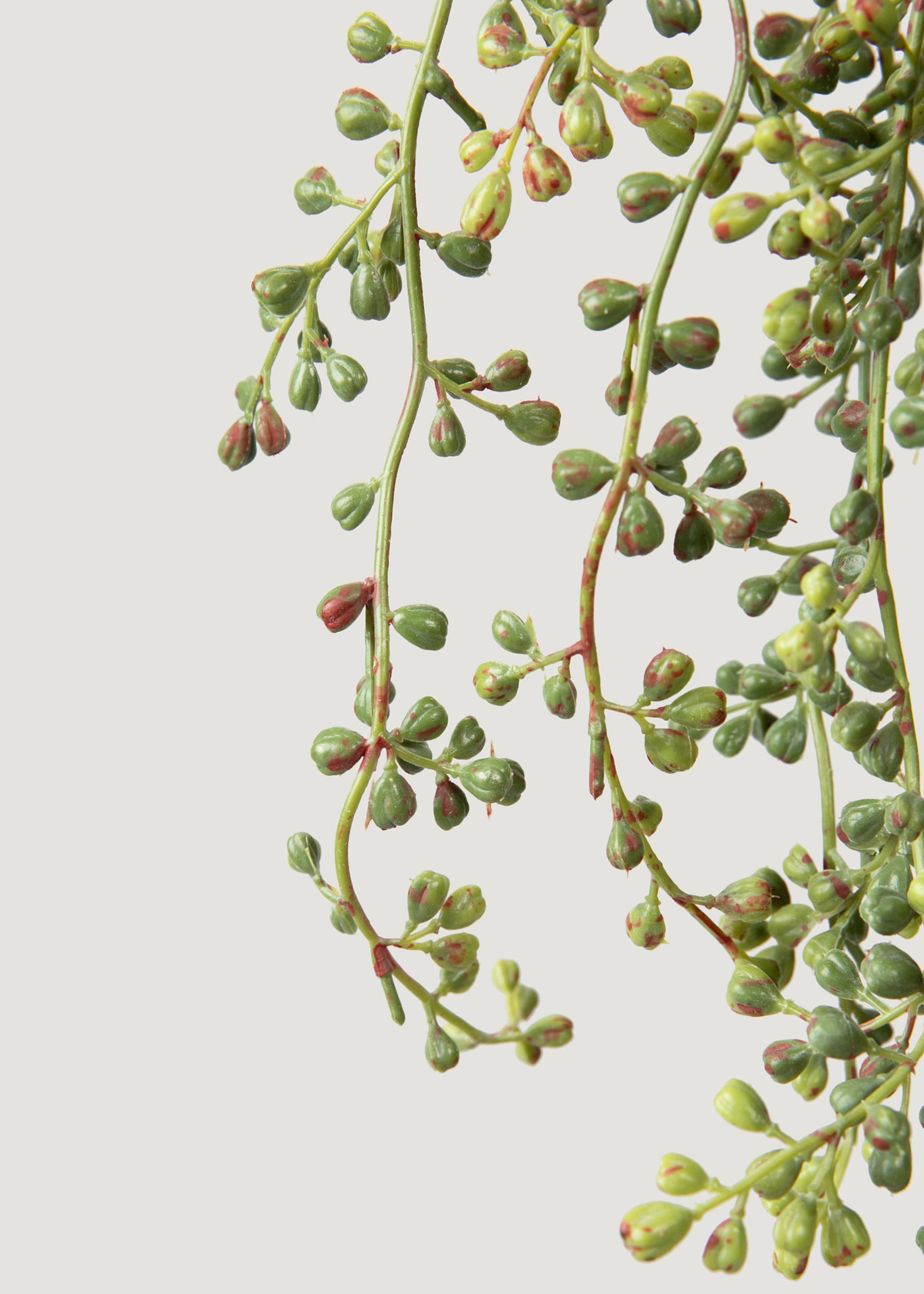 faux hanging pearl plant 24 Inch Green Gray String of Pearl Hanging Bush