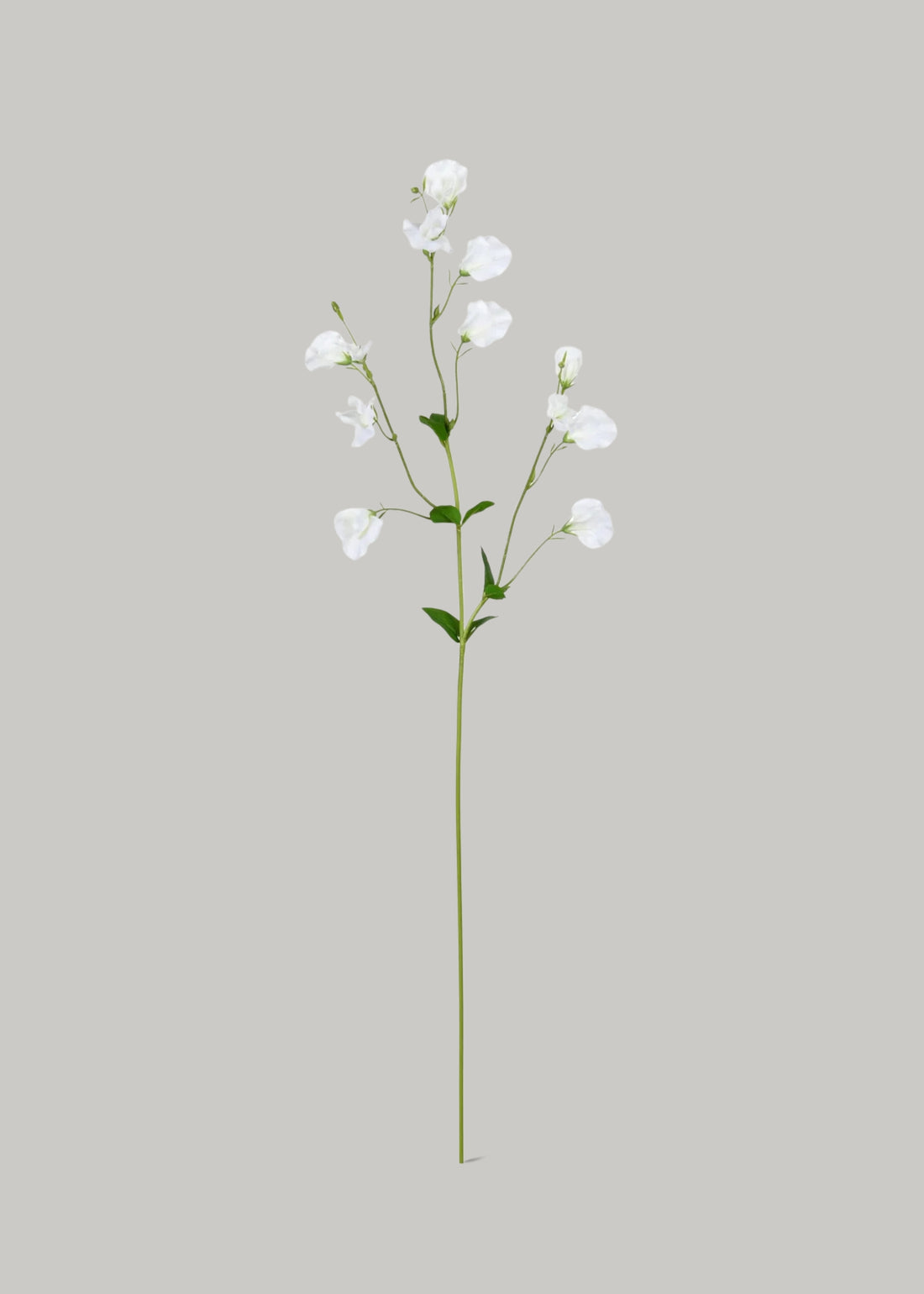 Artificial Sweet Pea Wildflowers in White 