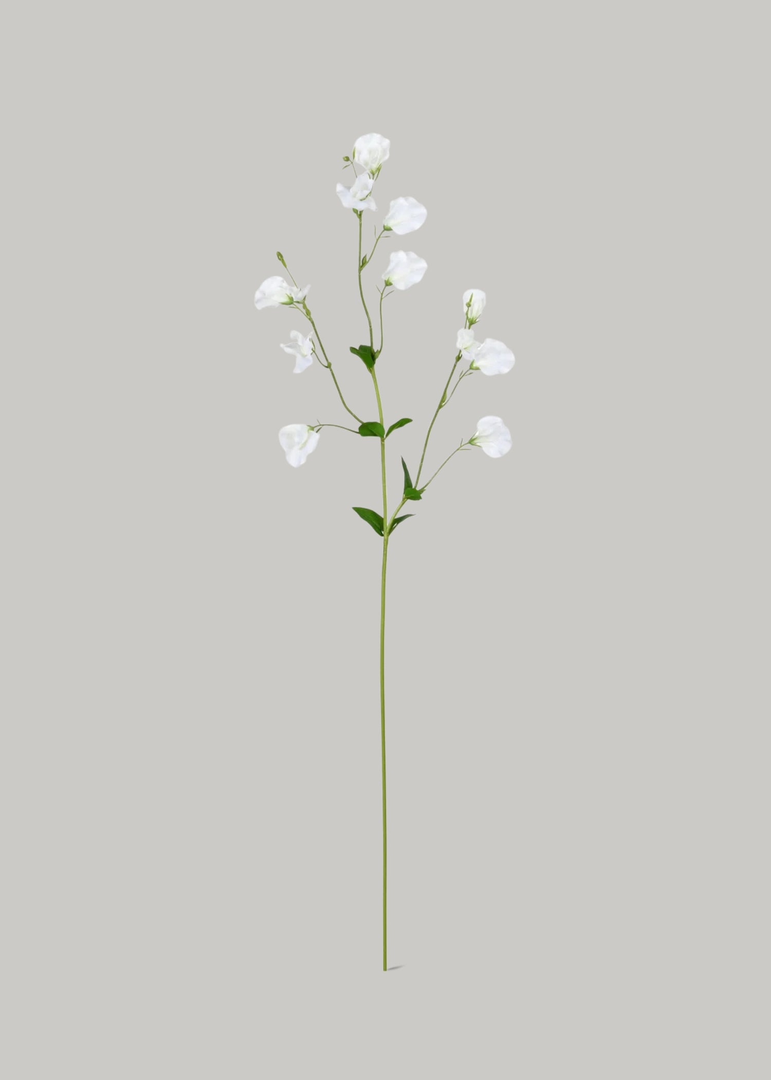 Artificial Sweet Pea Wildflowers in White 