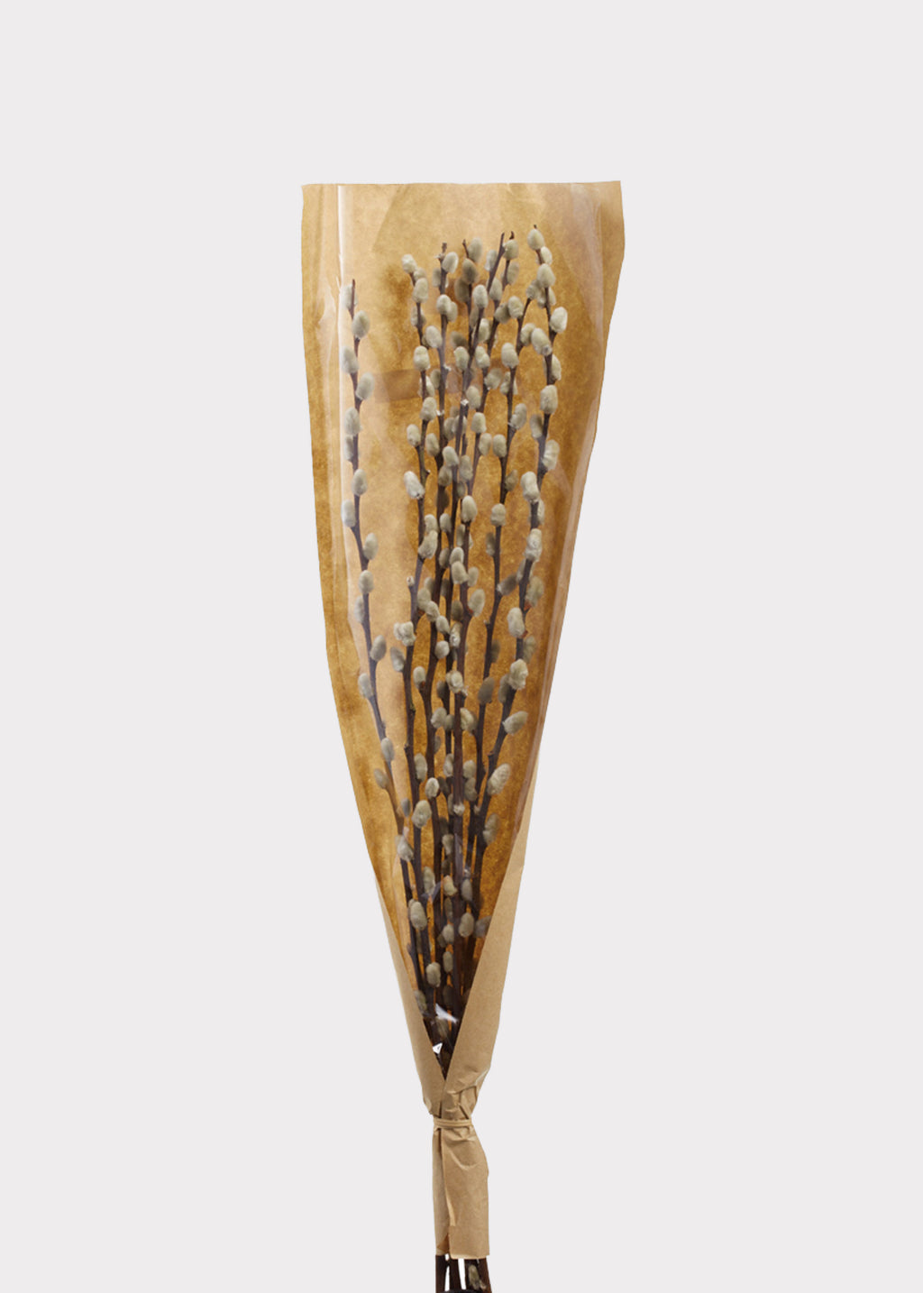 Natural Dried Pussy Willow Branch Bundle 