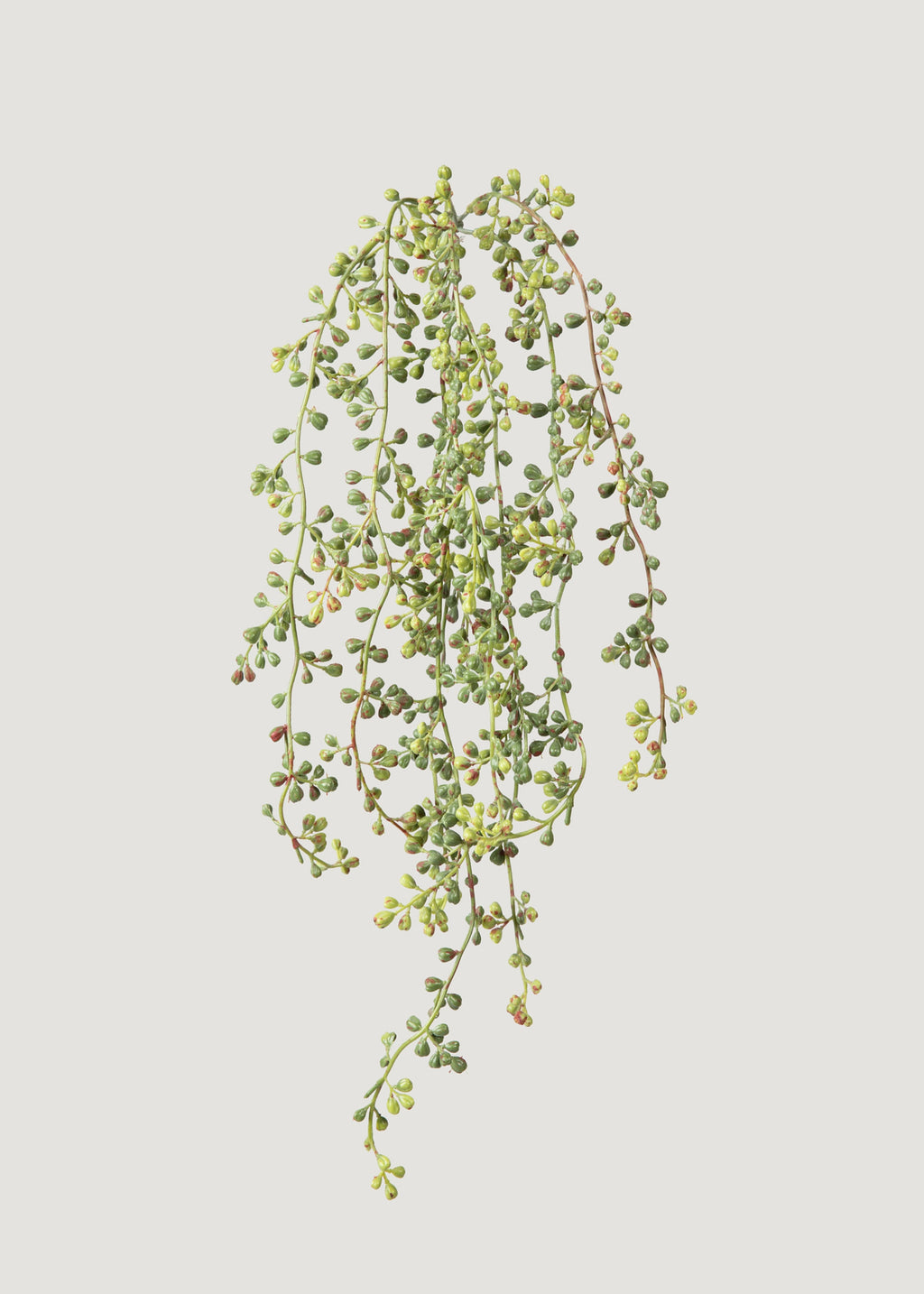faux string of pearls hanging plant Hanging String of Pearls Bush | Artificial Succulents