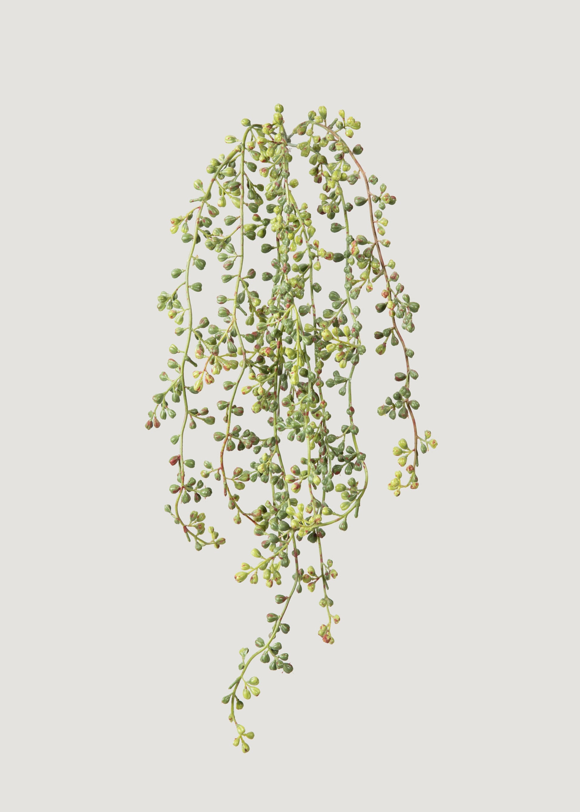faux succulent string of pearls 24 Inch Green Gray String of Pearl Hanging Bush