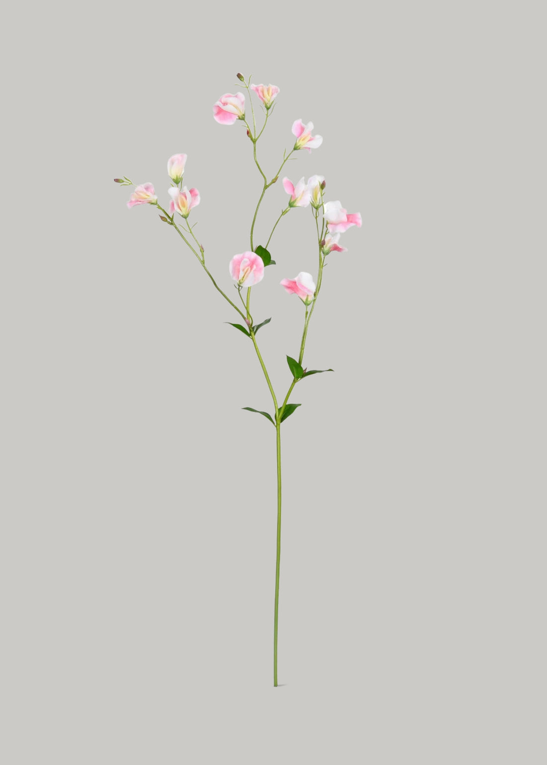 Pink and White Faux Sweet Pea Wildflowers