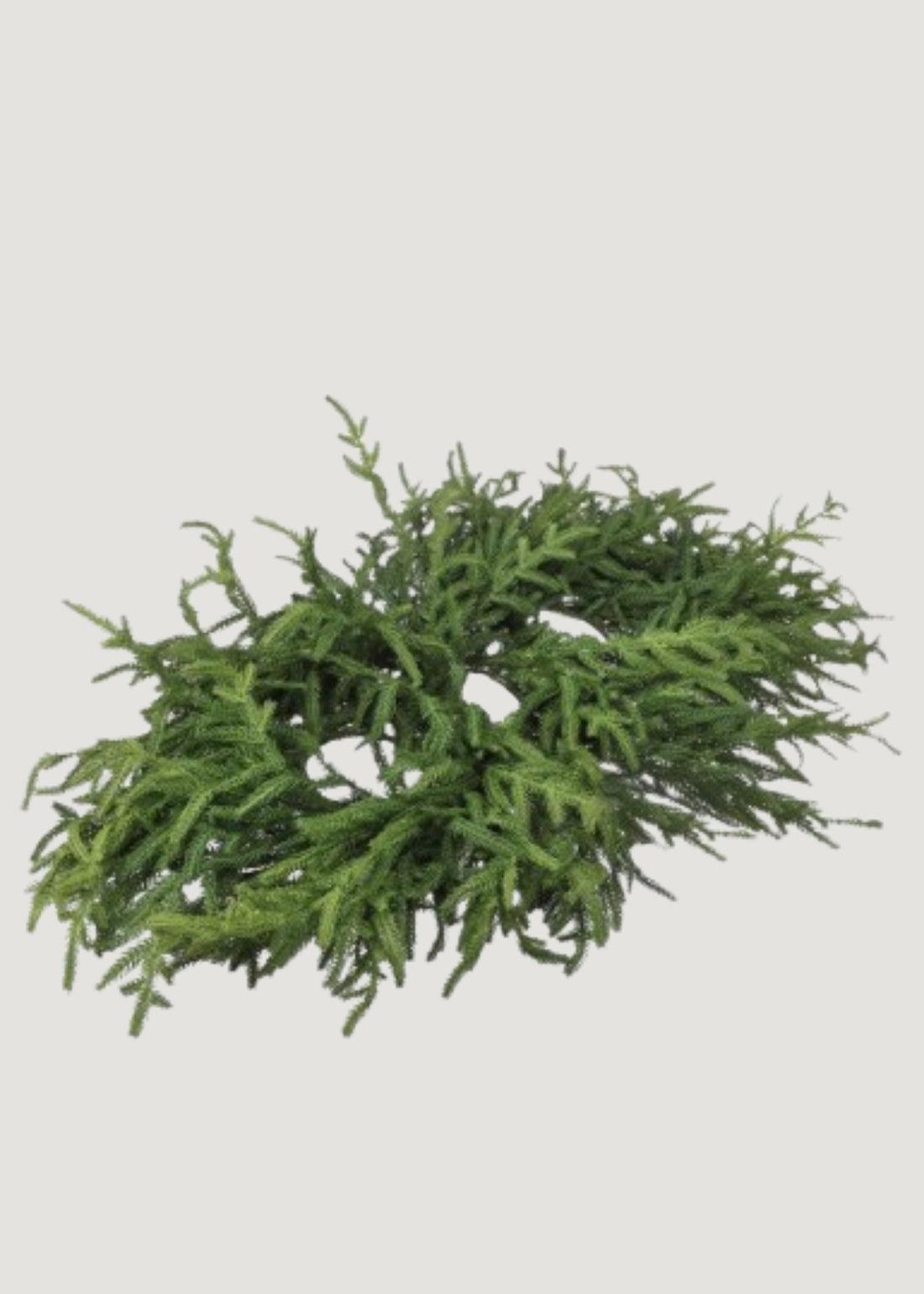 Afloral Real Touch Norfolk Pine Table Centerpiece 